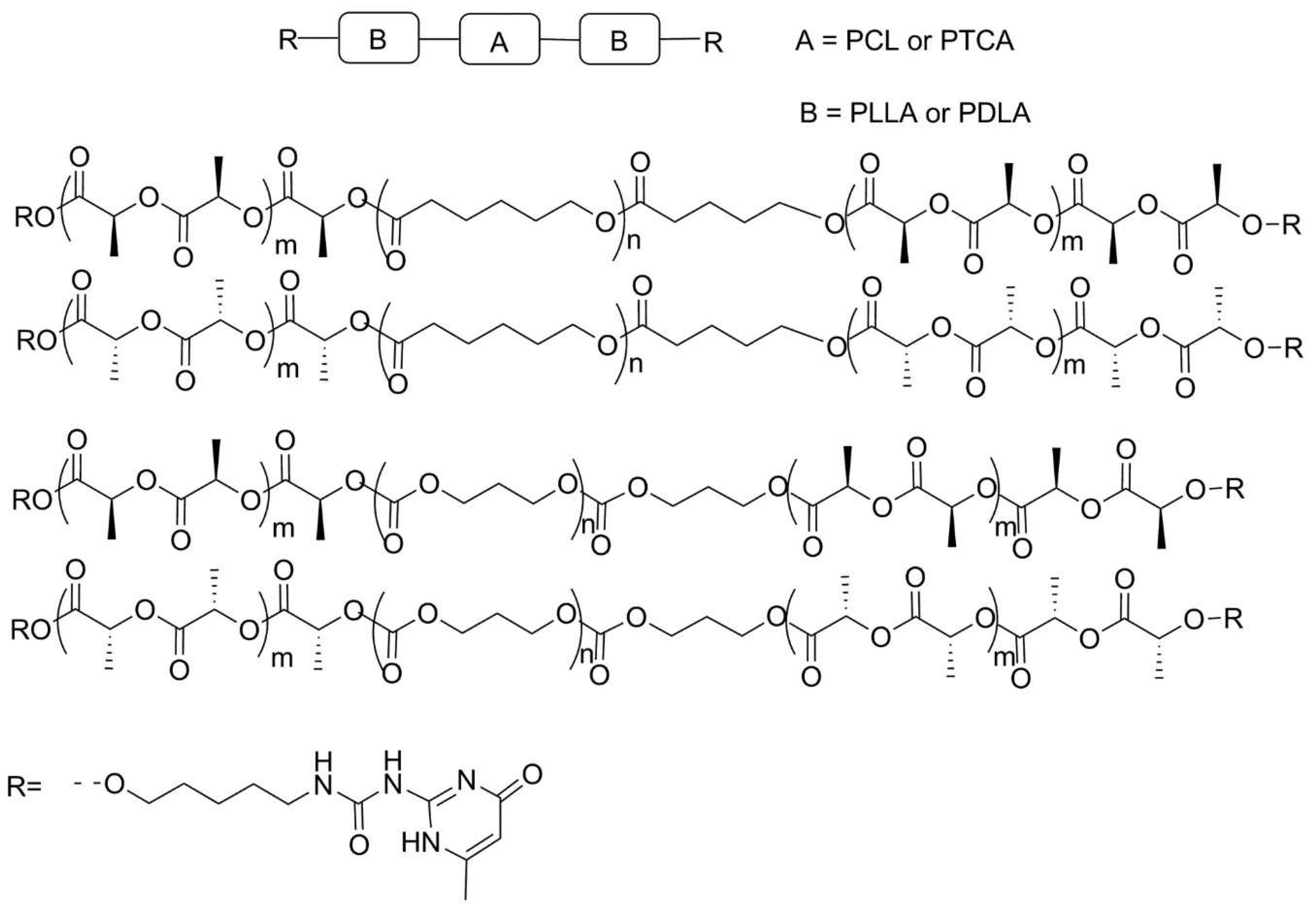 Polymers 13 02022 sch013
