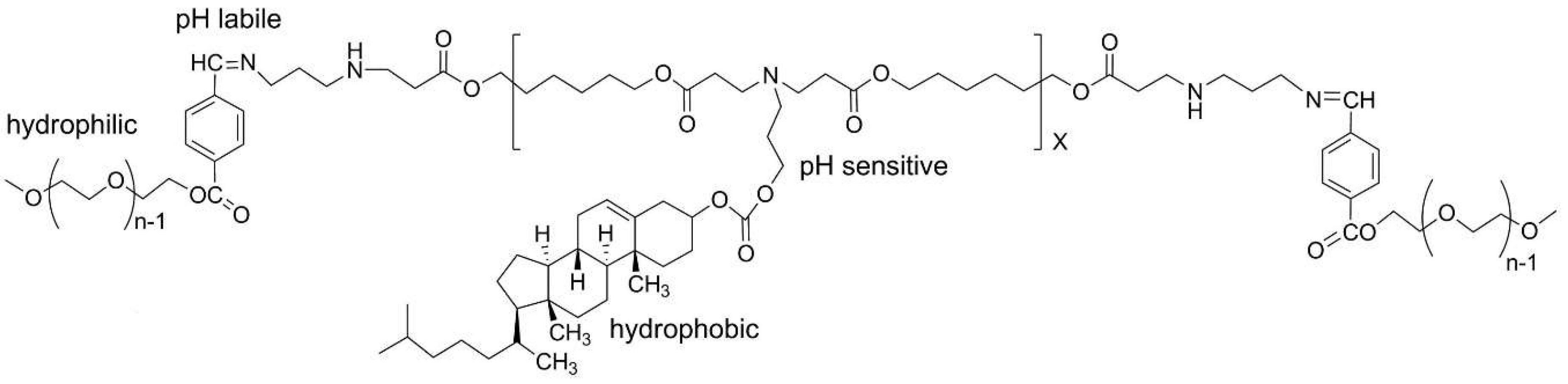Polymers 13 02022 sch014