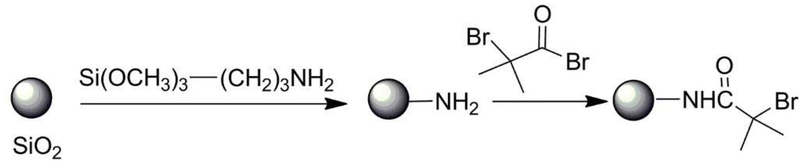 Polymers 13 02022 sch017