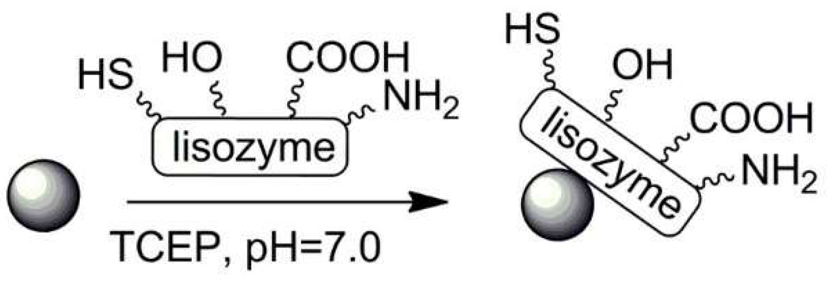 Polymers 13 02022 sch022