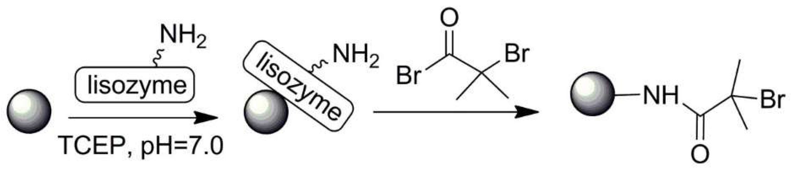 Polymers 13 02022 sch023