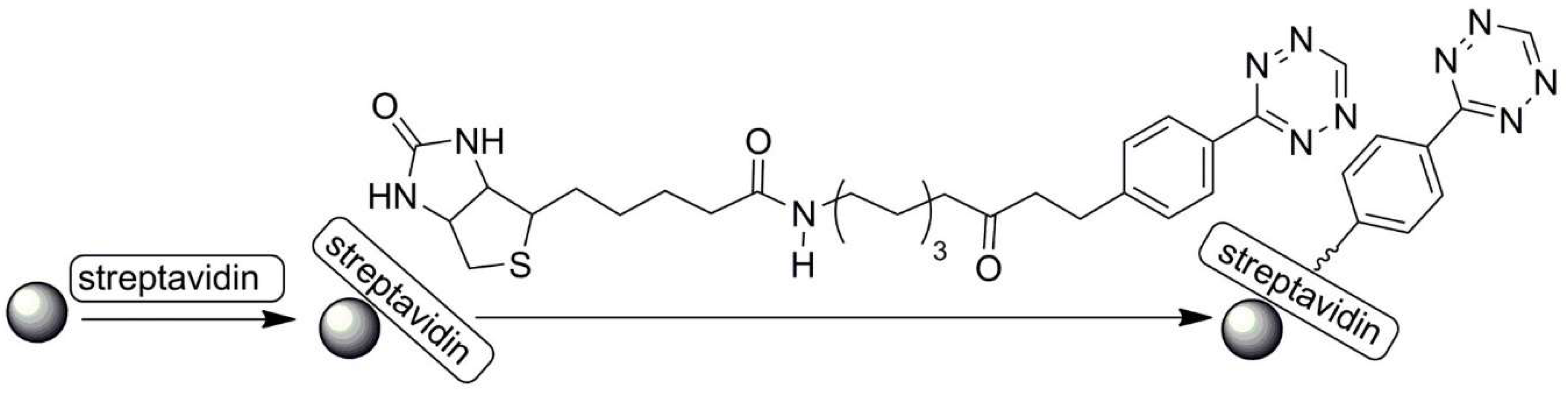 Polymers 13 02022 sch024