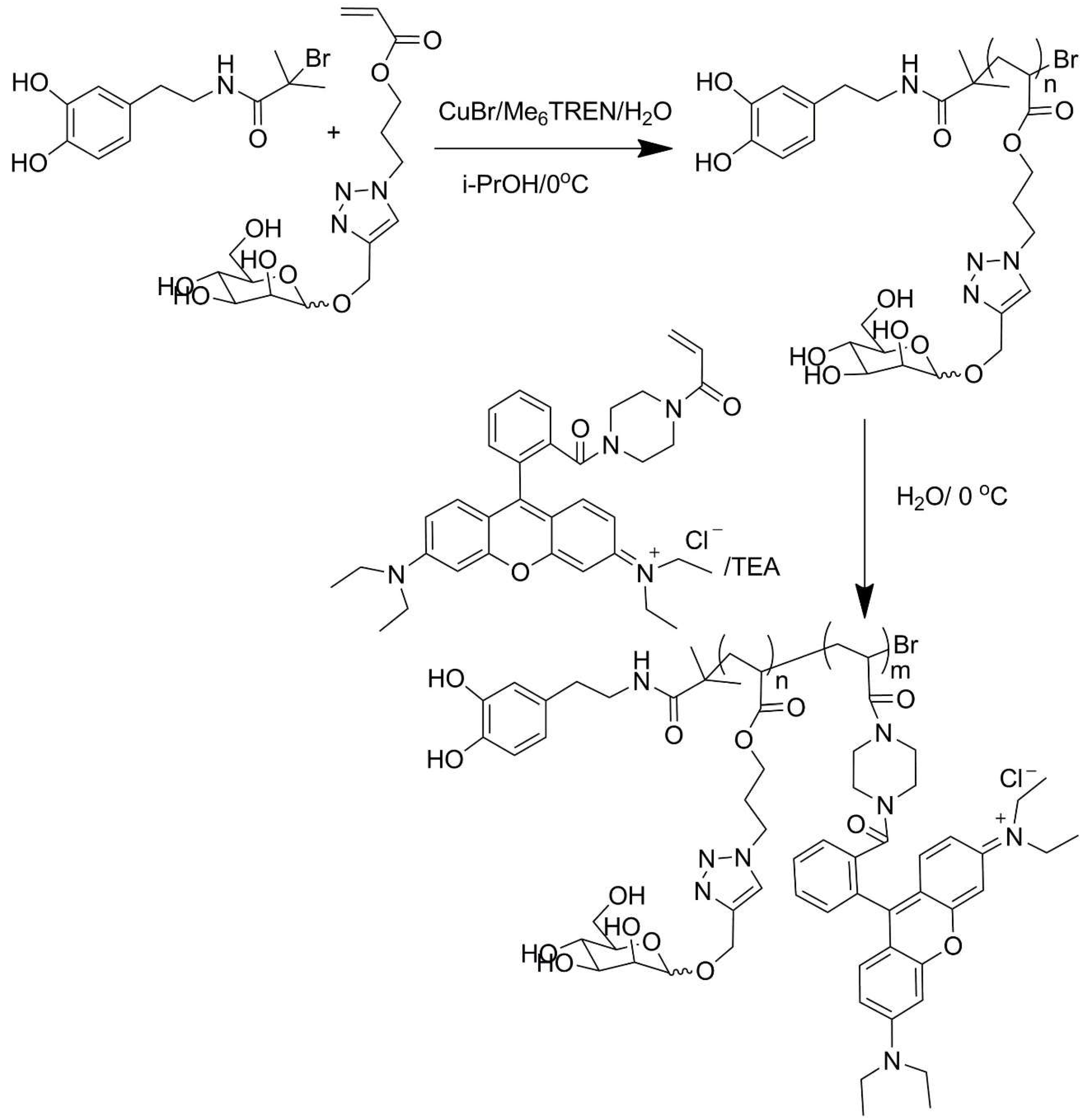 Polymers 13 02022 sch025