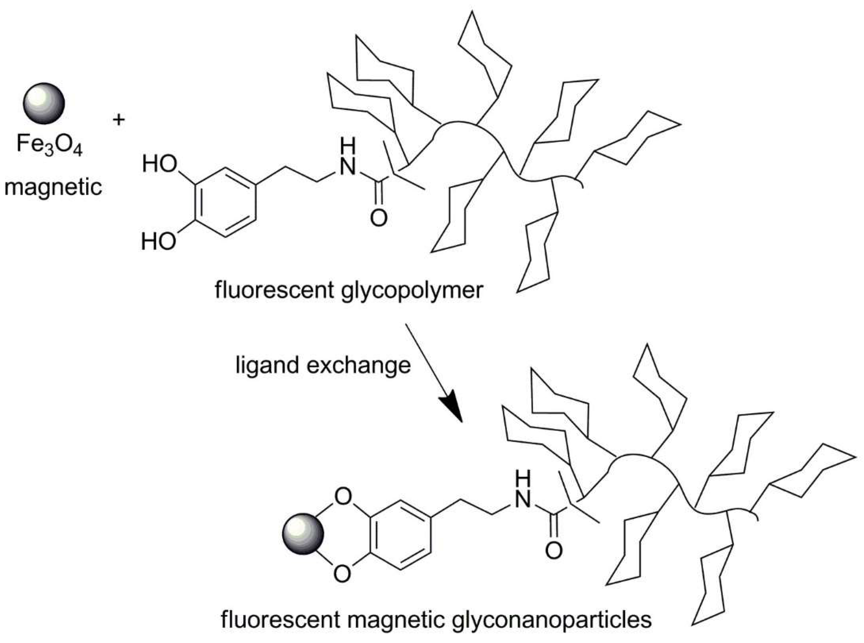 Polymers 13 02022 sch026