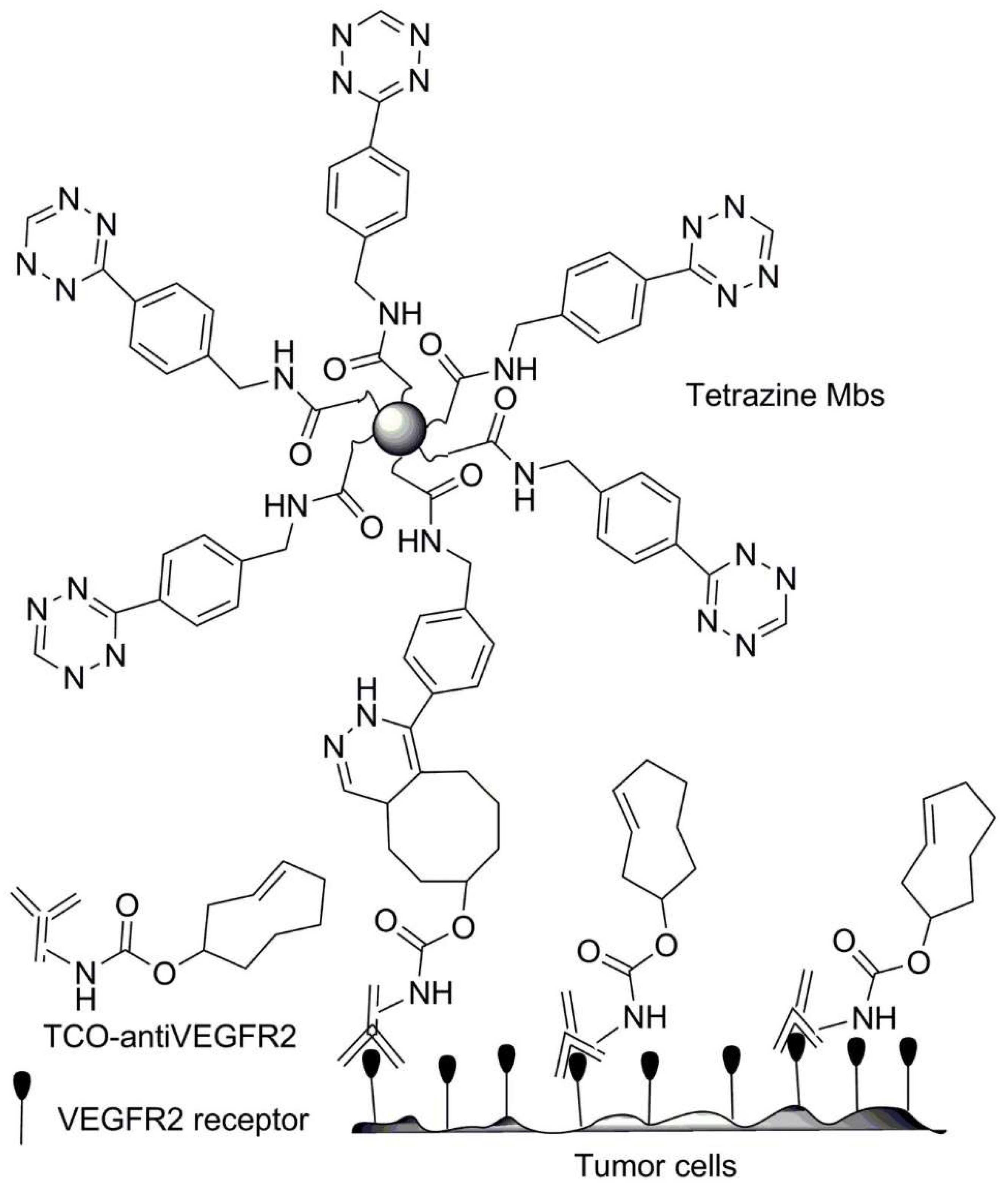 Polymers 13 02022 sch032