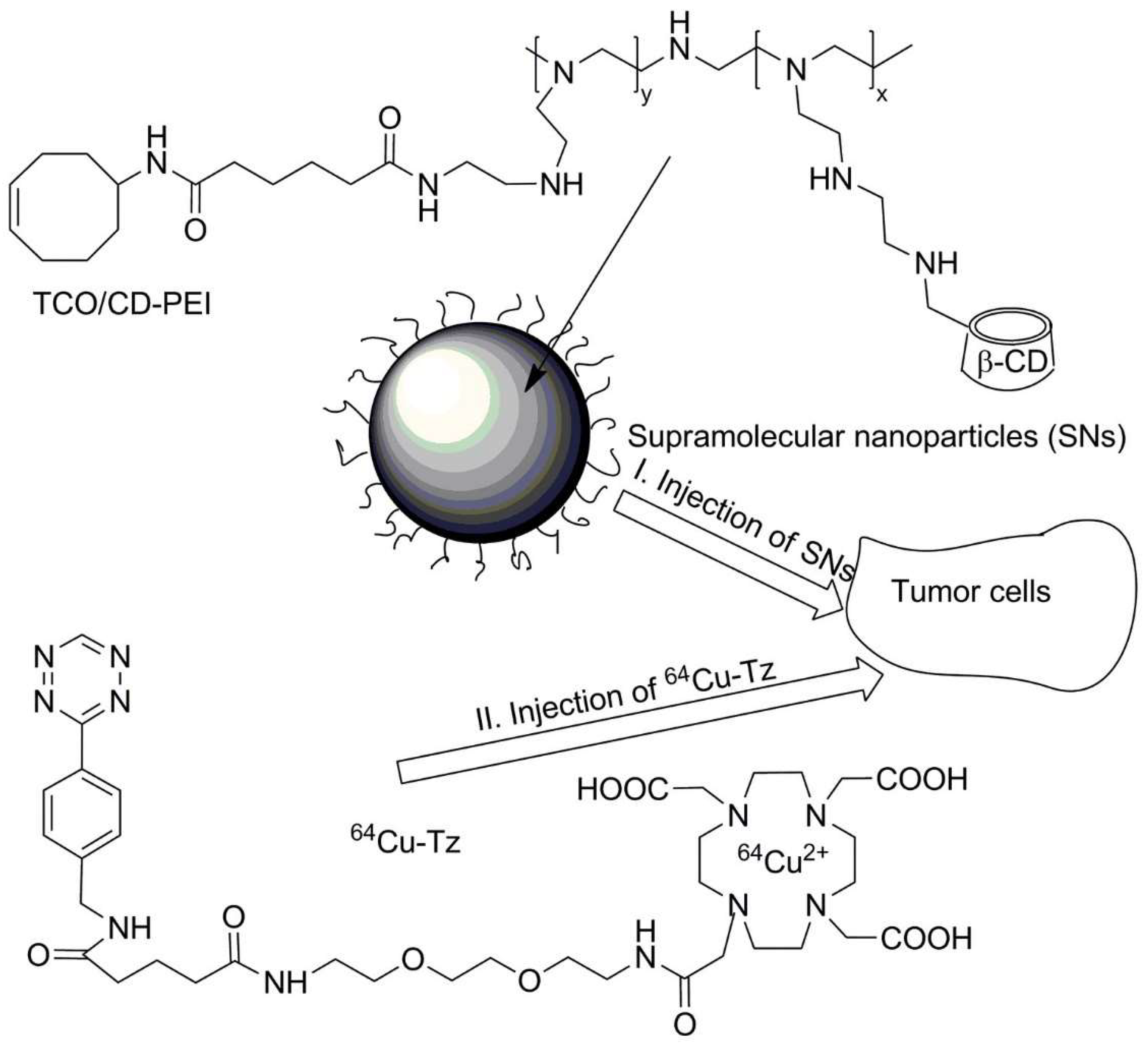 Polymers 13 02022 sch033