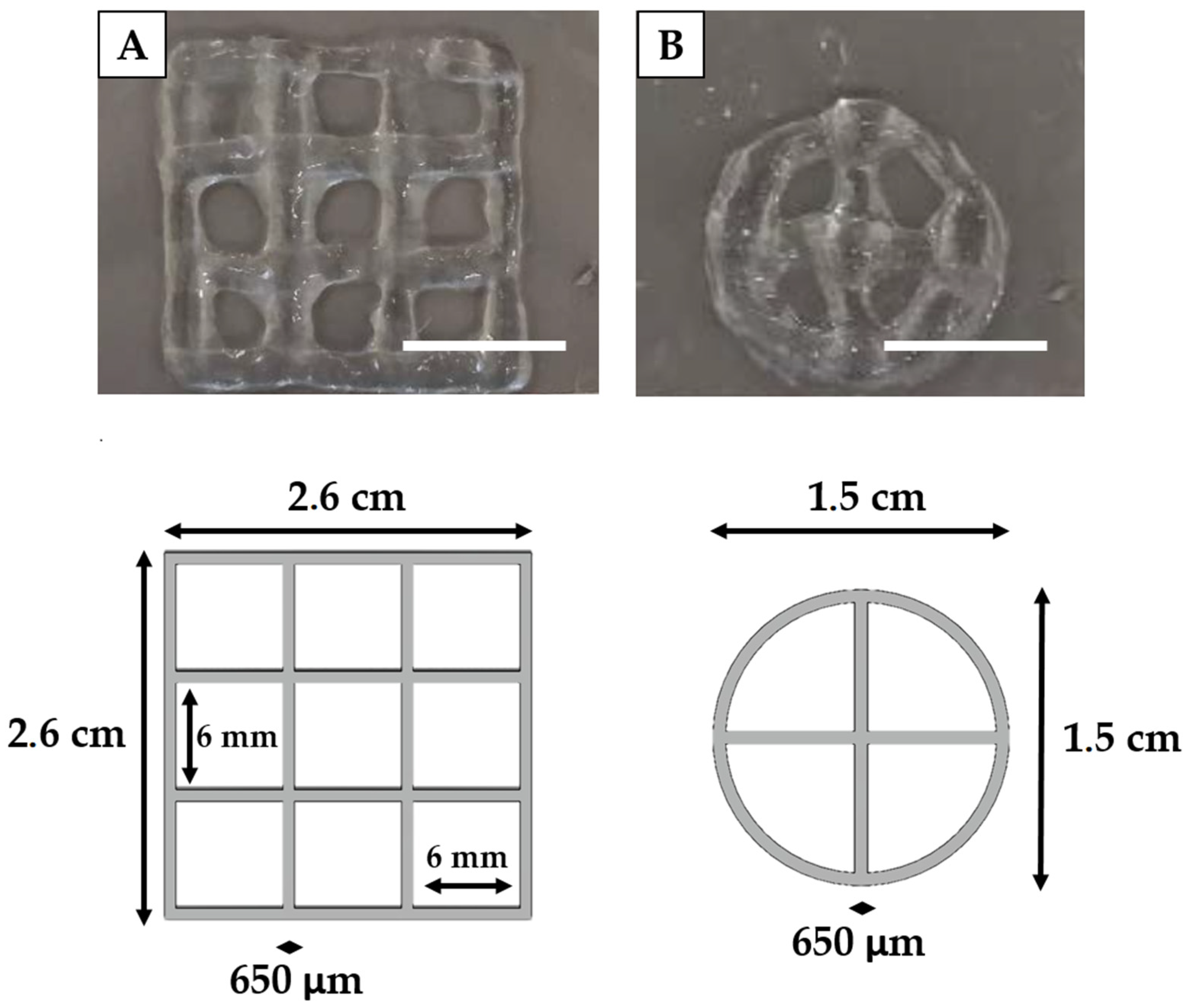 Polymers 13 02026 g006