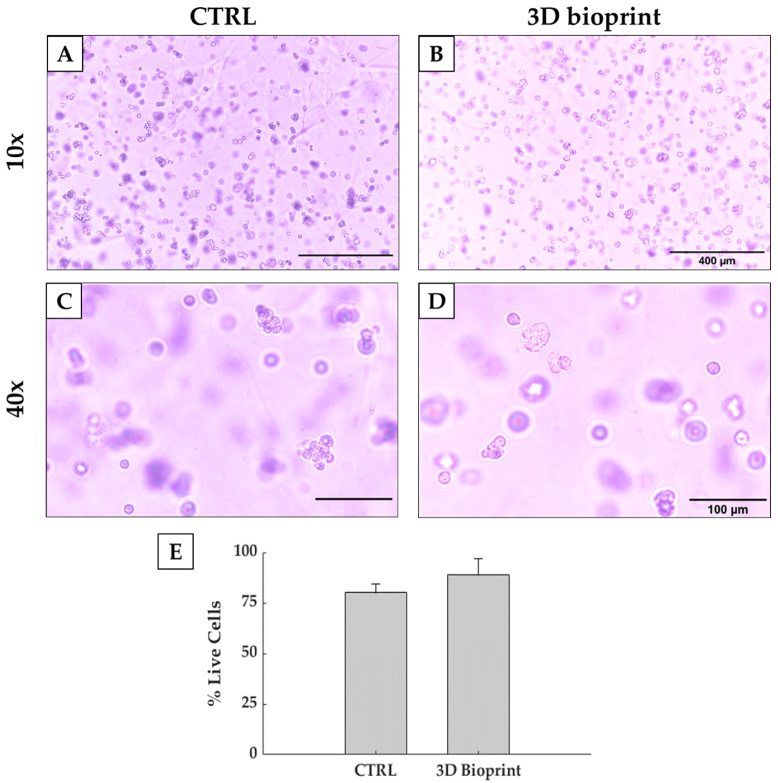 Polymers 13 02026 g008