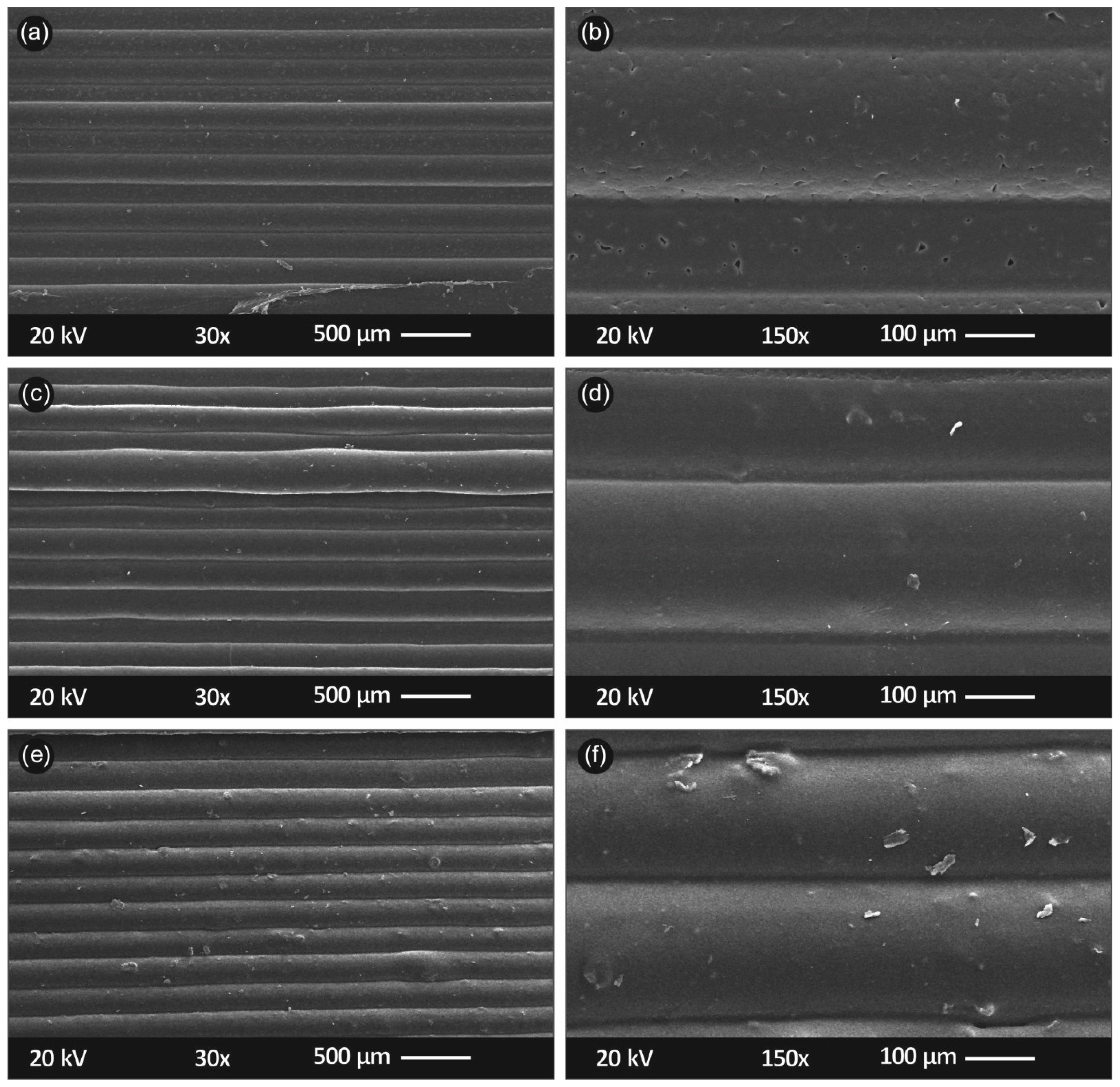 Polymers 13 02029 g008