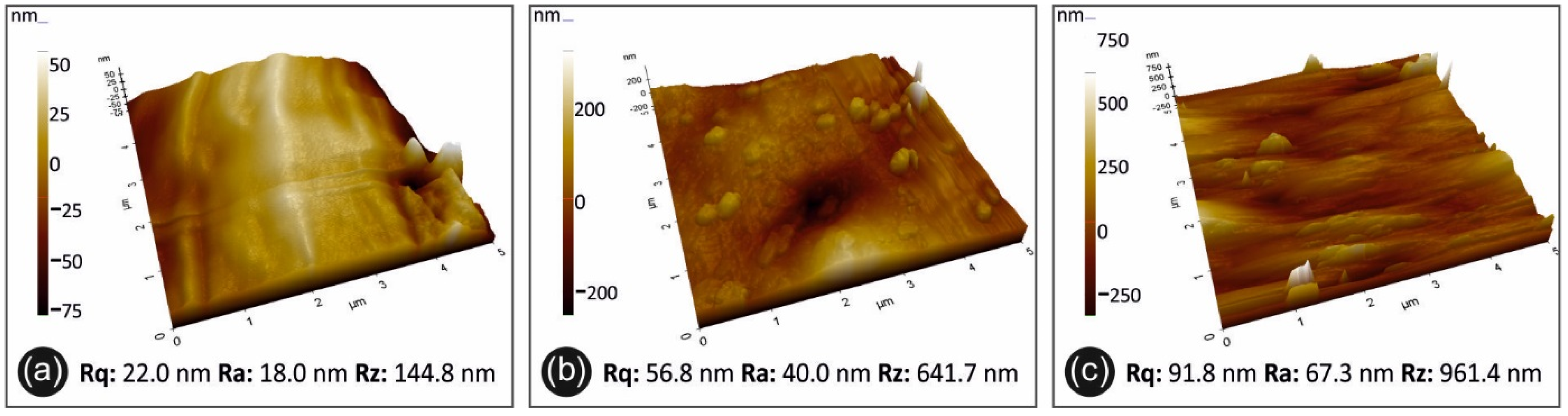 Polymers 13 02029 g010