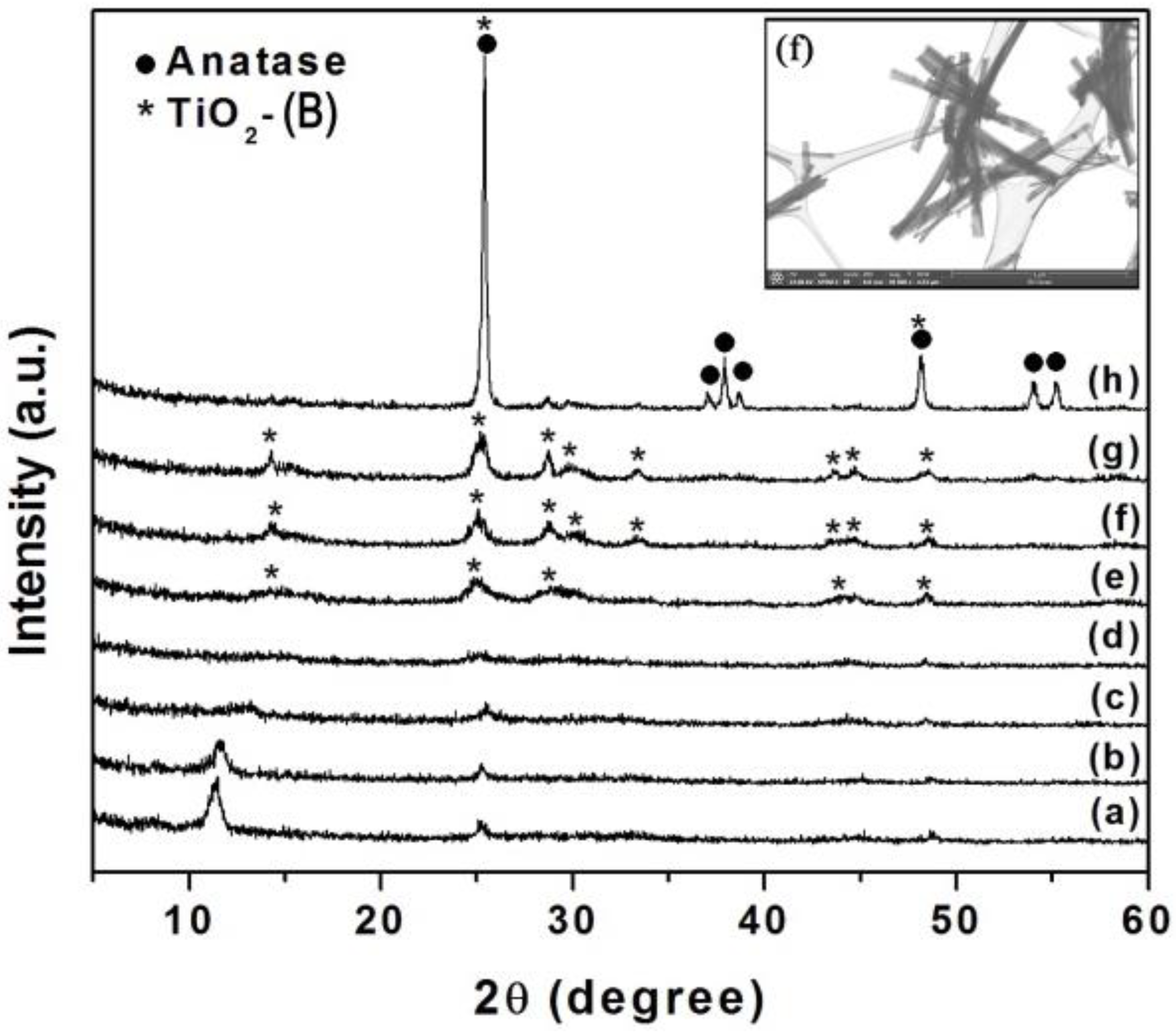 Polymers 13 02030 g002