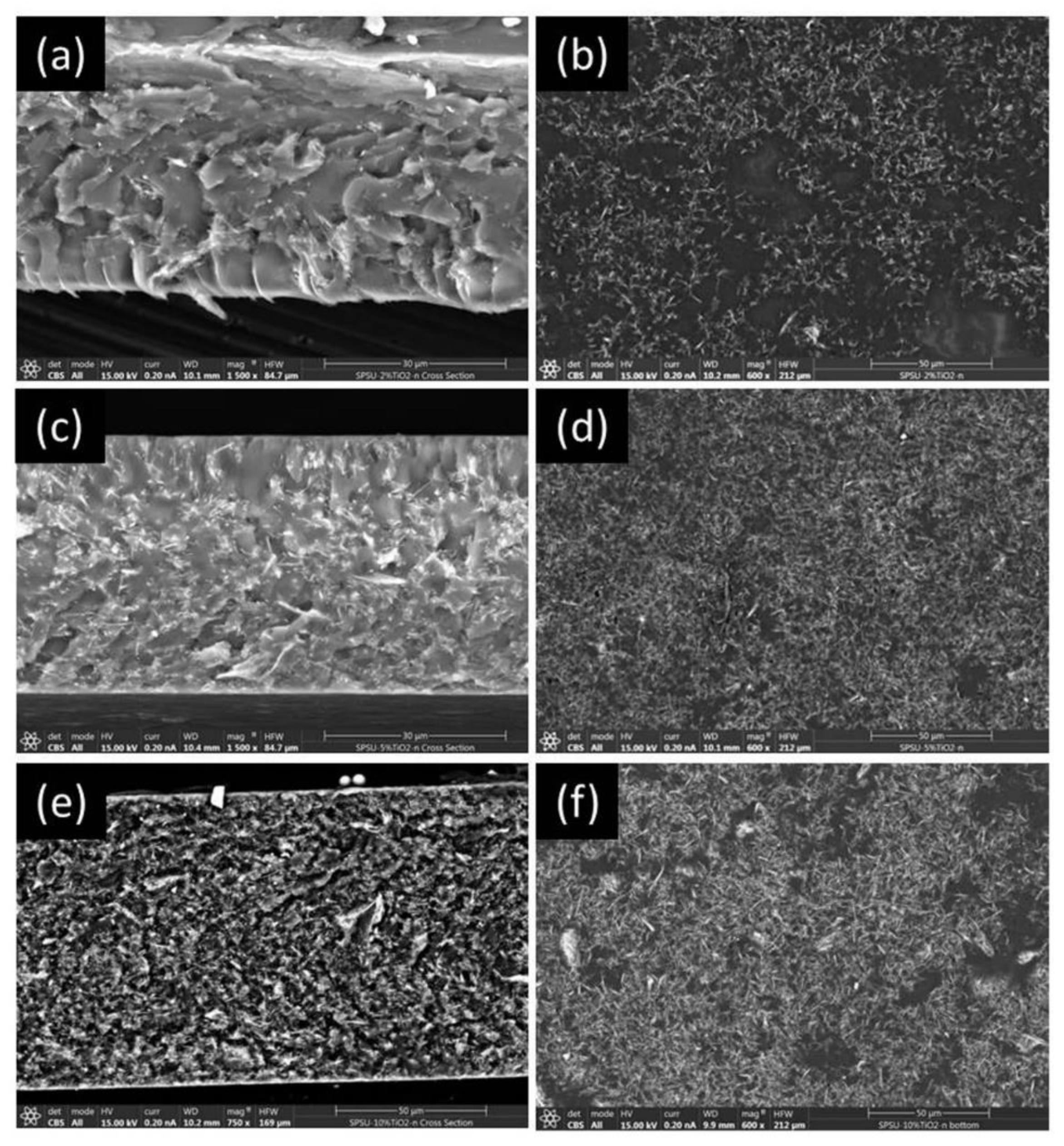 Polymers 13 02030 g004