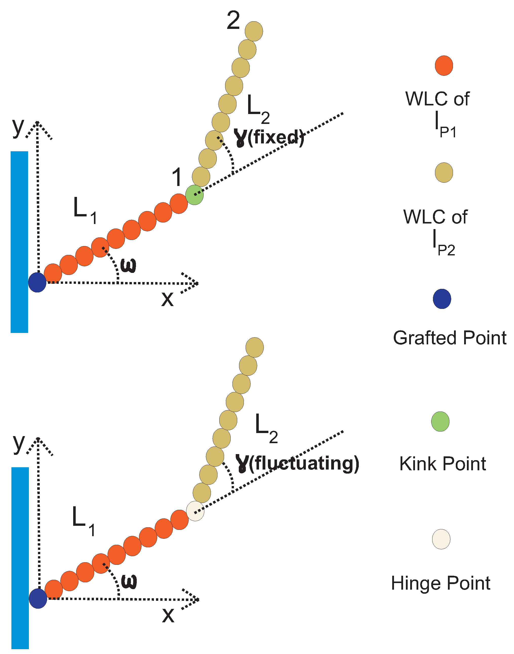 Polymers 13 02031 g003 Polymers 13 02031 g003