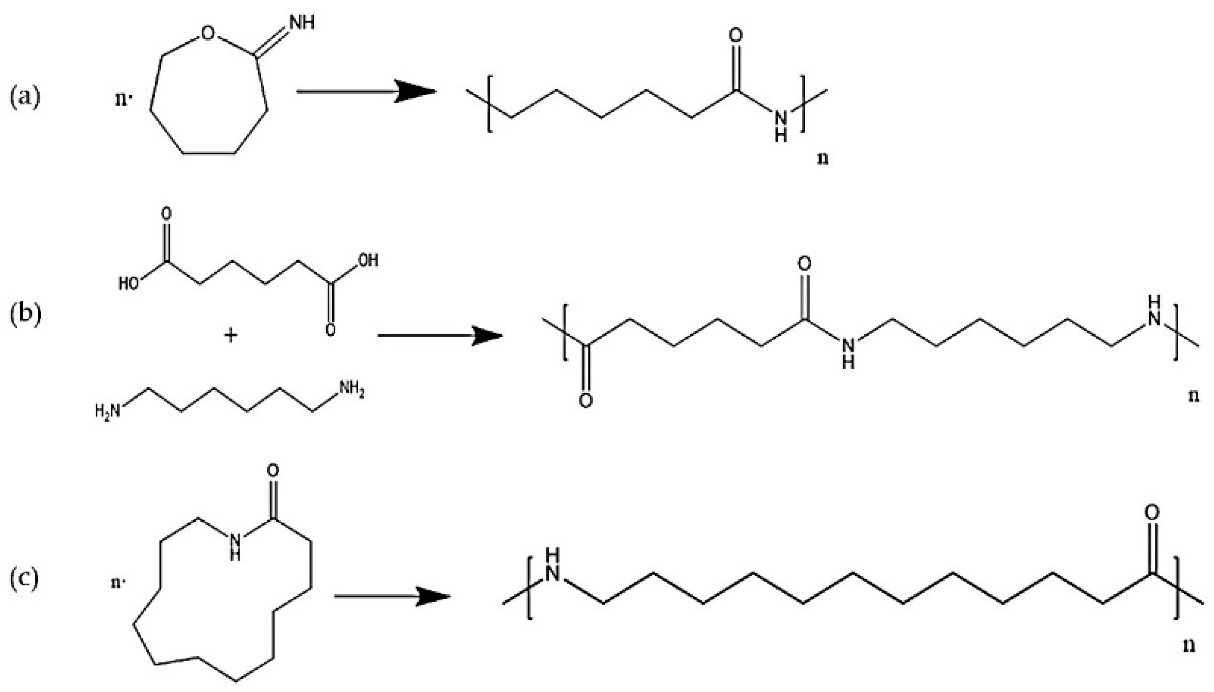 Polymers 13 02032 g001