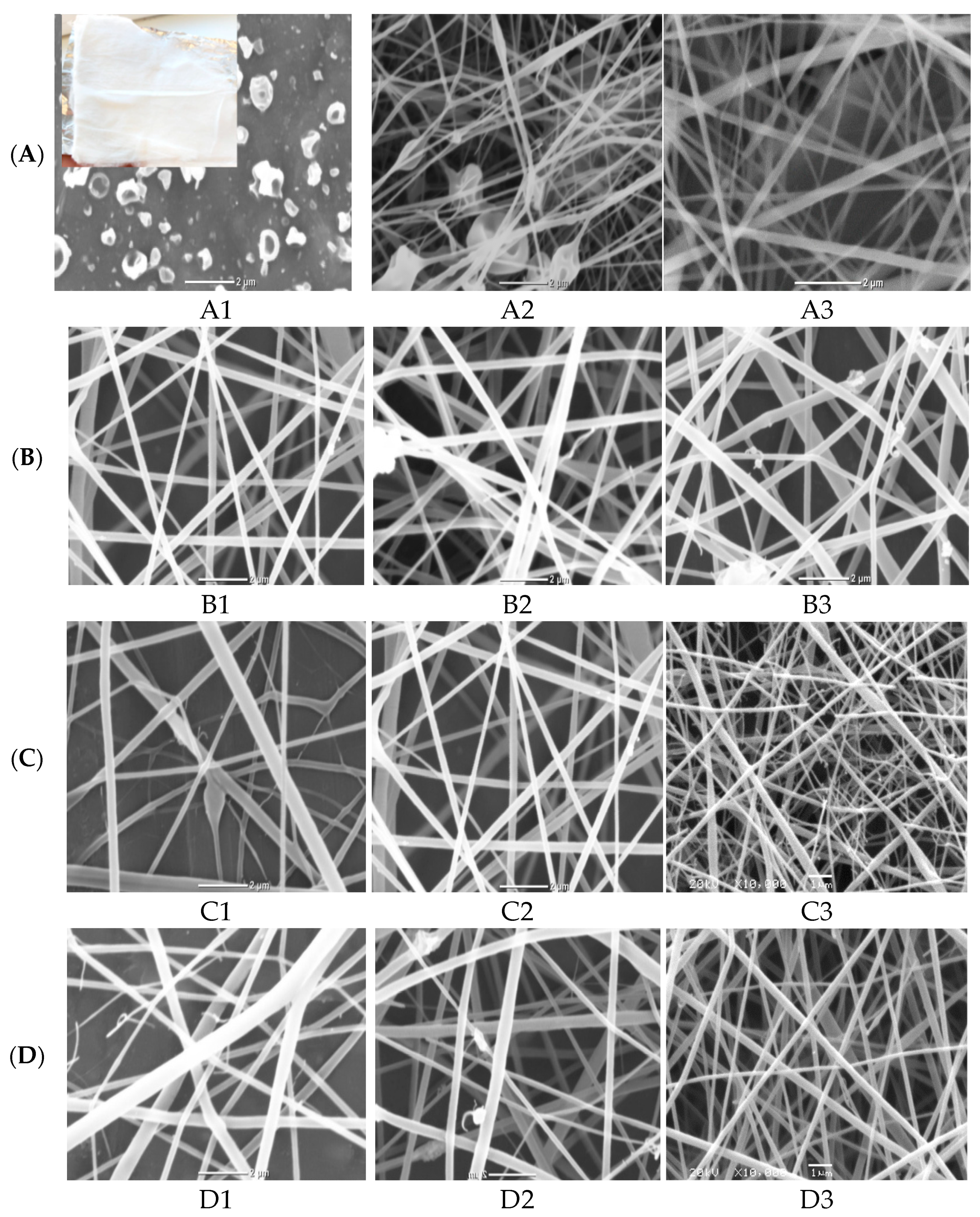 Polymers 13 02033 g001a