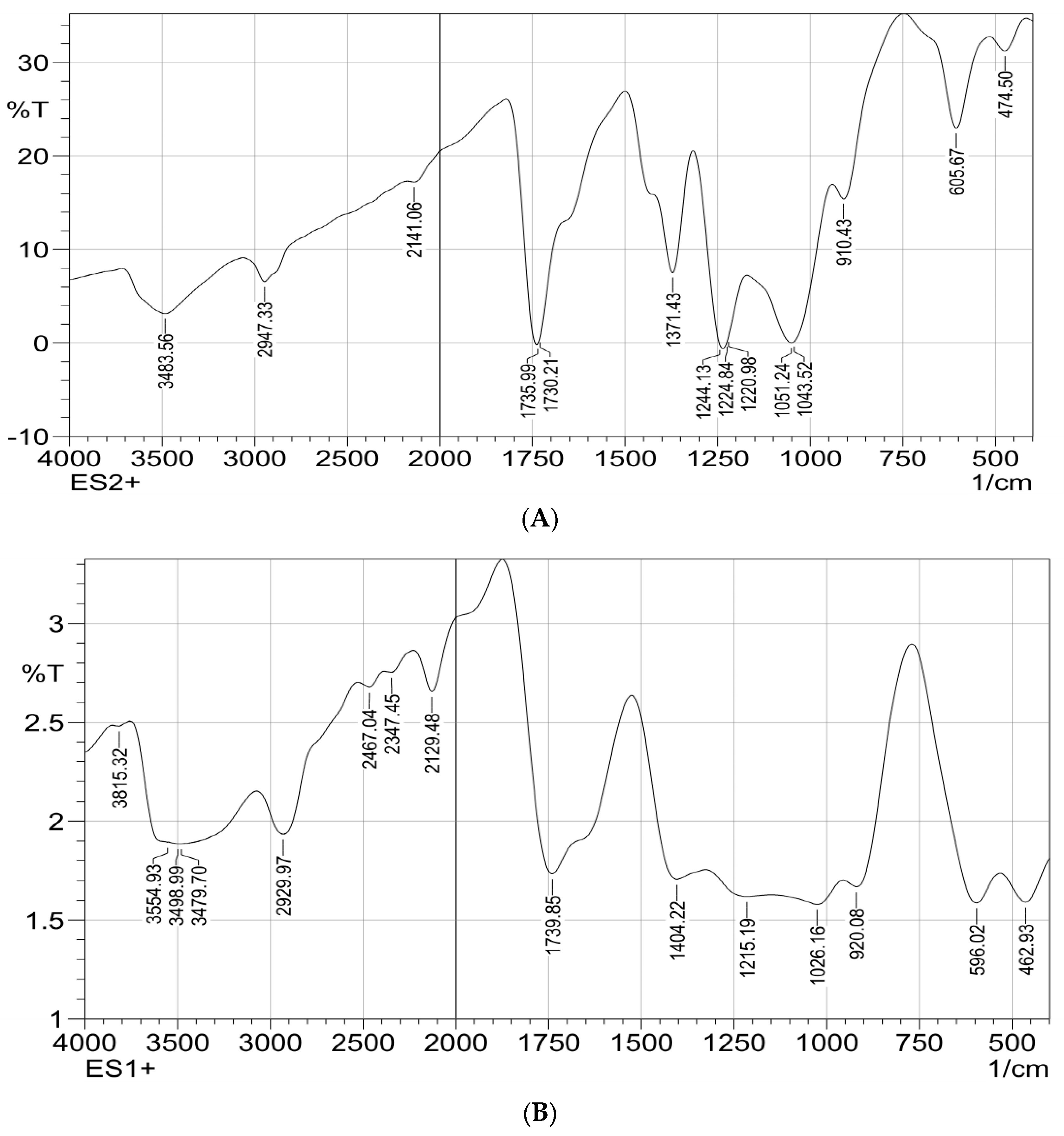Polymers 13 02033 g004