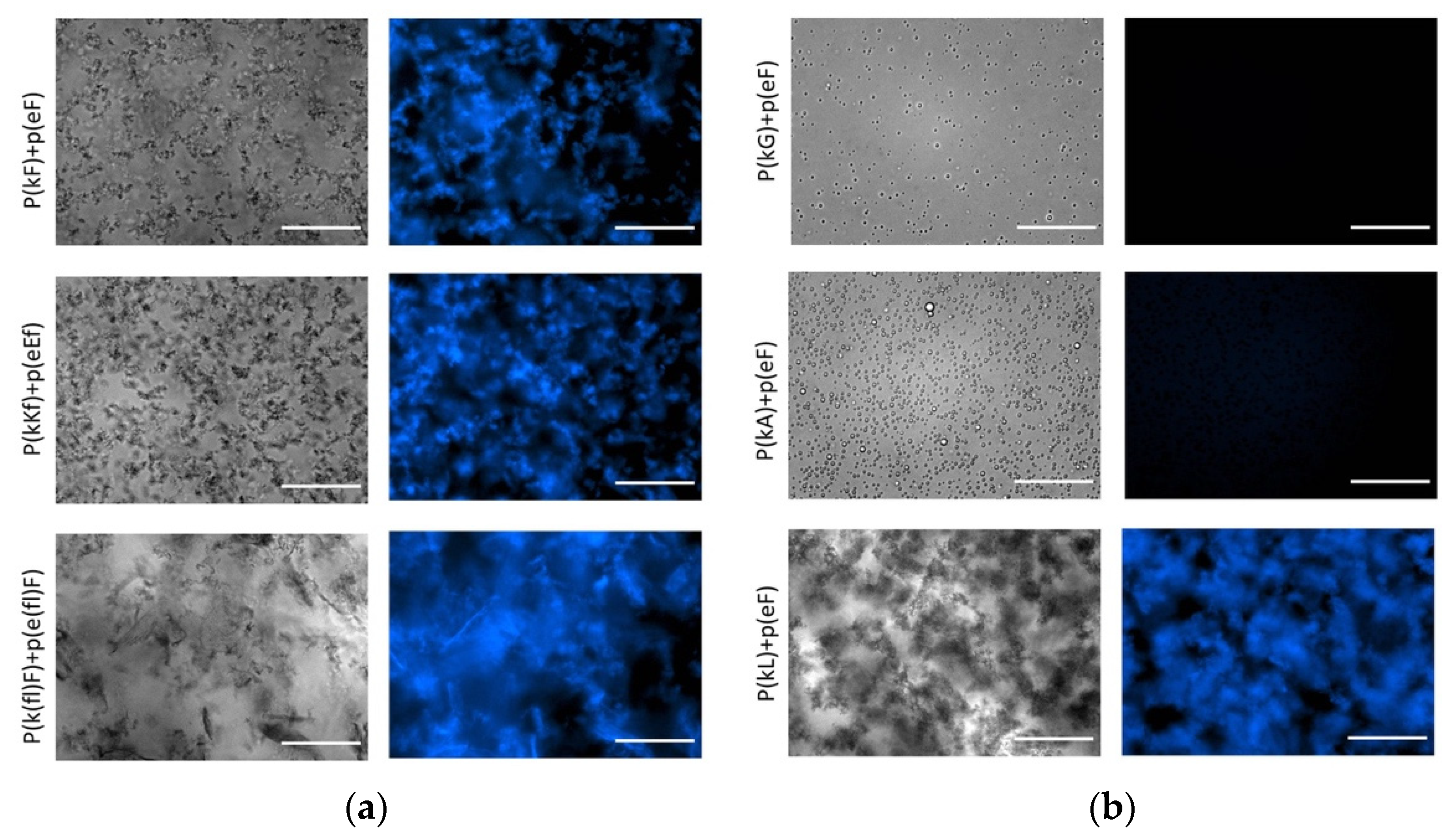 Polymers 13 02074 g006