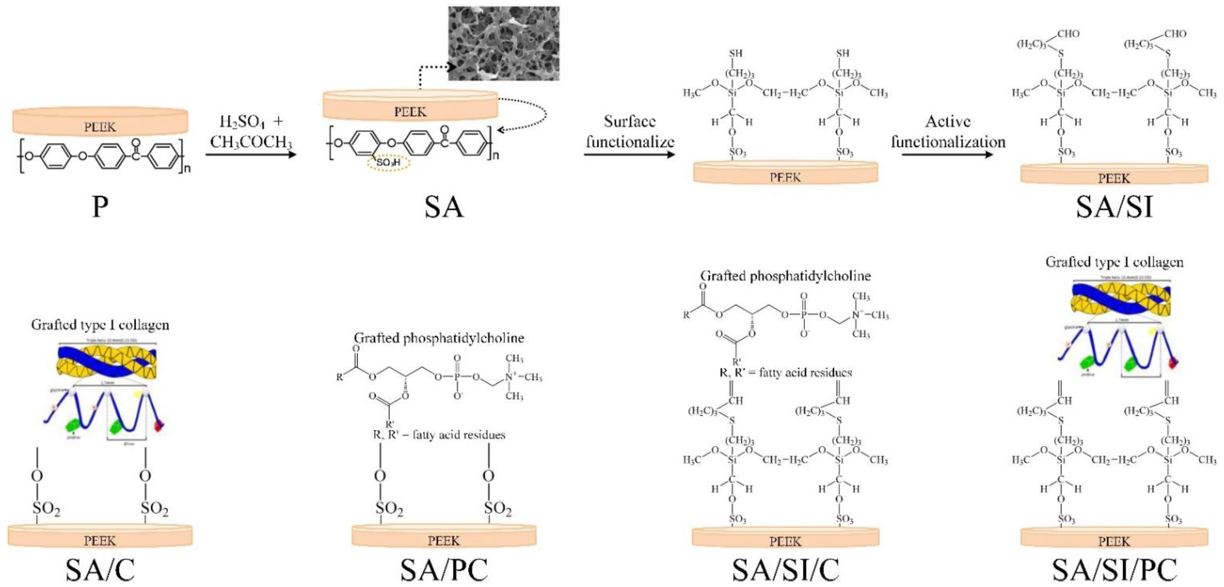 Polymers 13 02081 g001