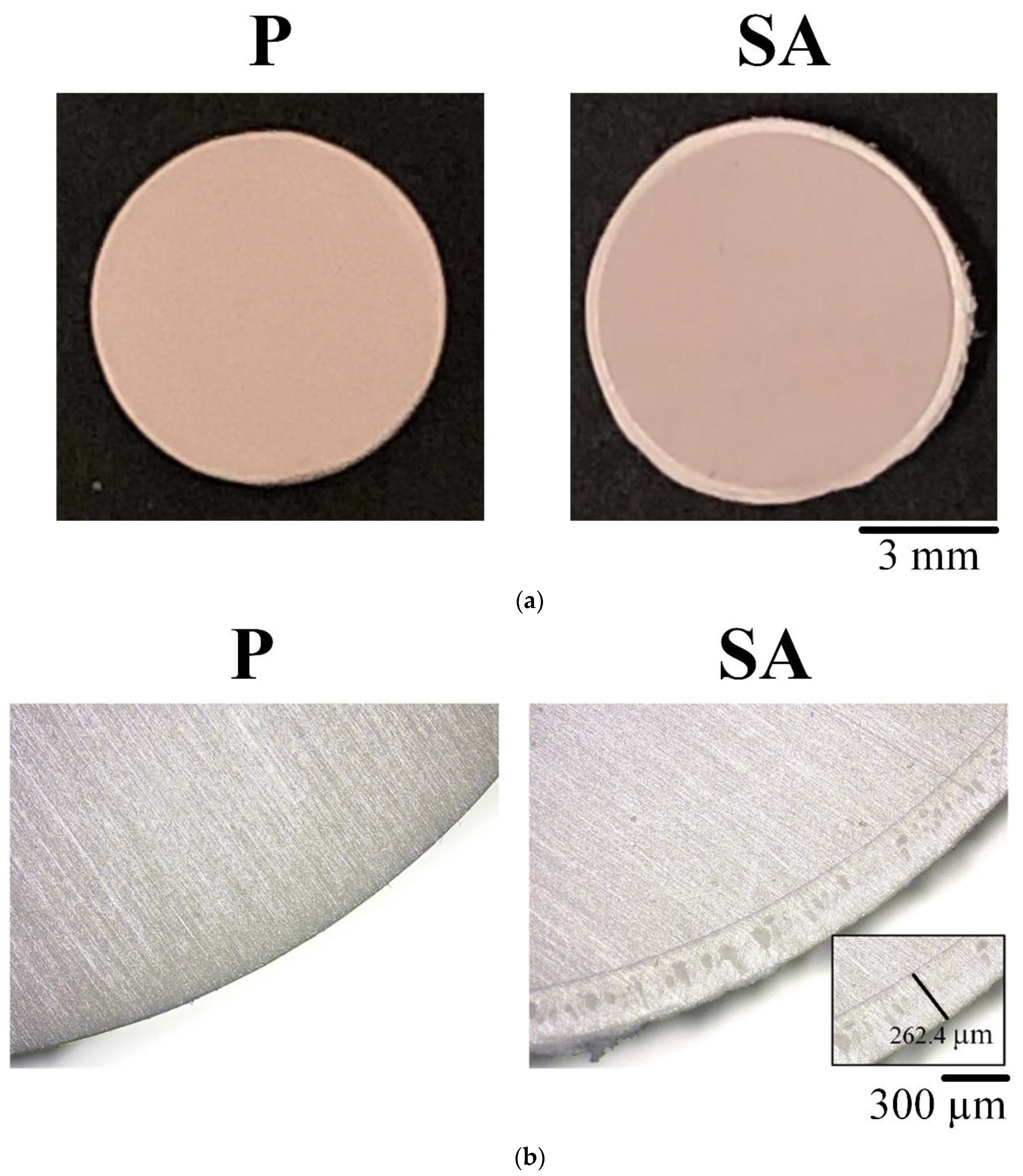 Polymers 13 02081 g002