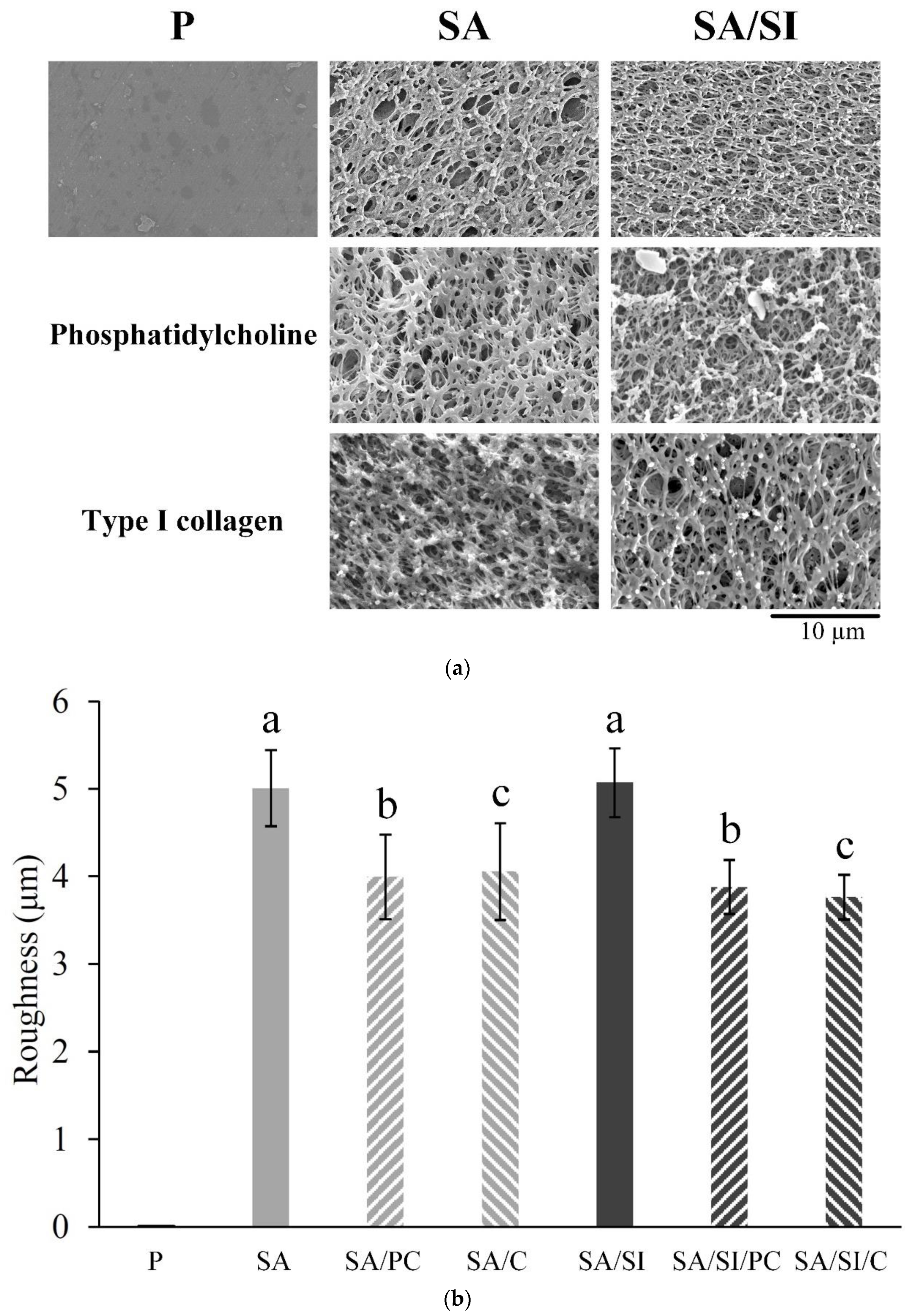 Polymers 13 02081 g003