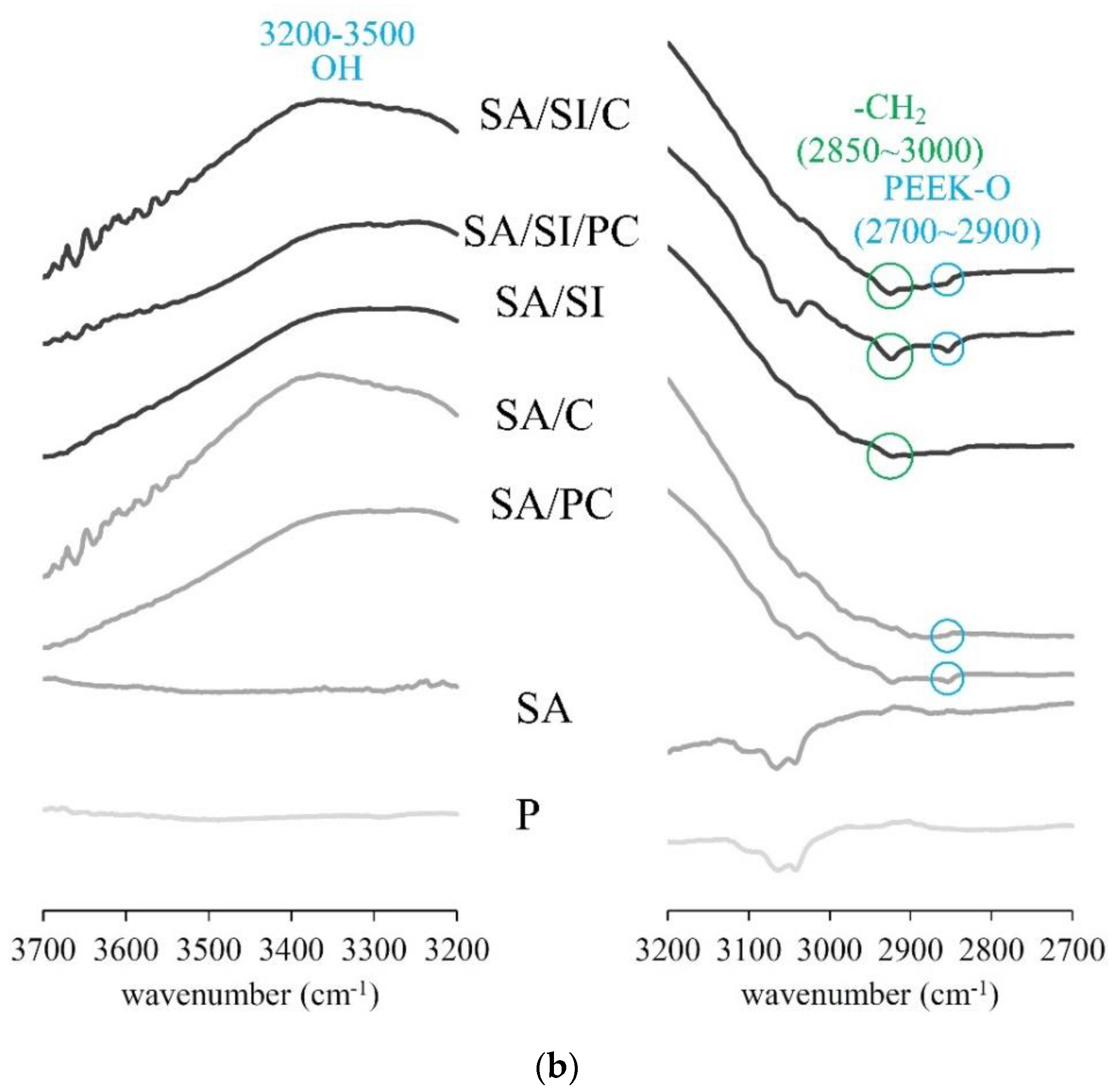 Polymers 13 02081 g006b
