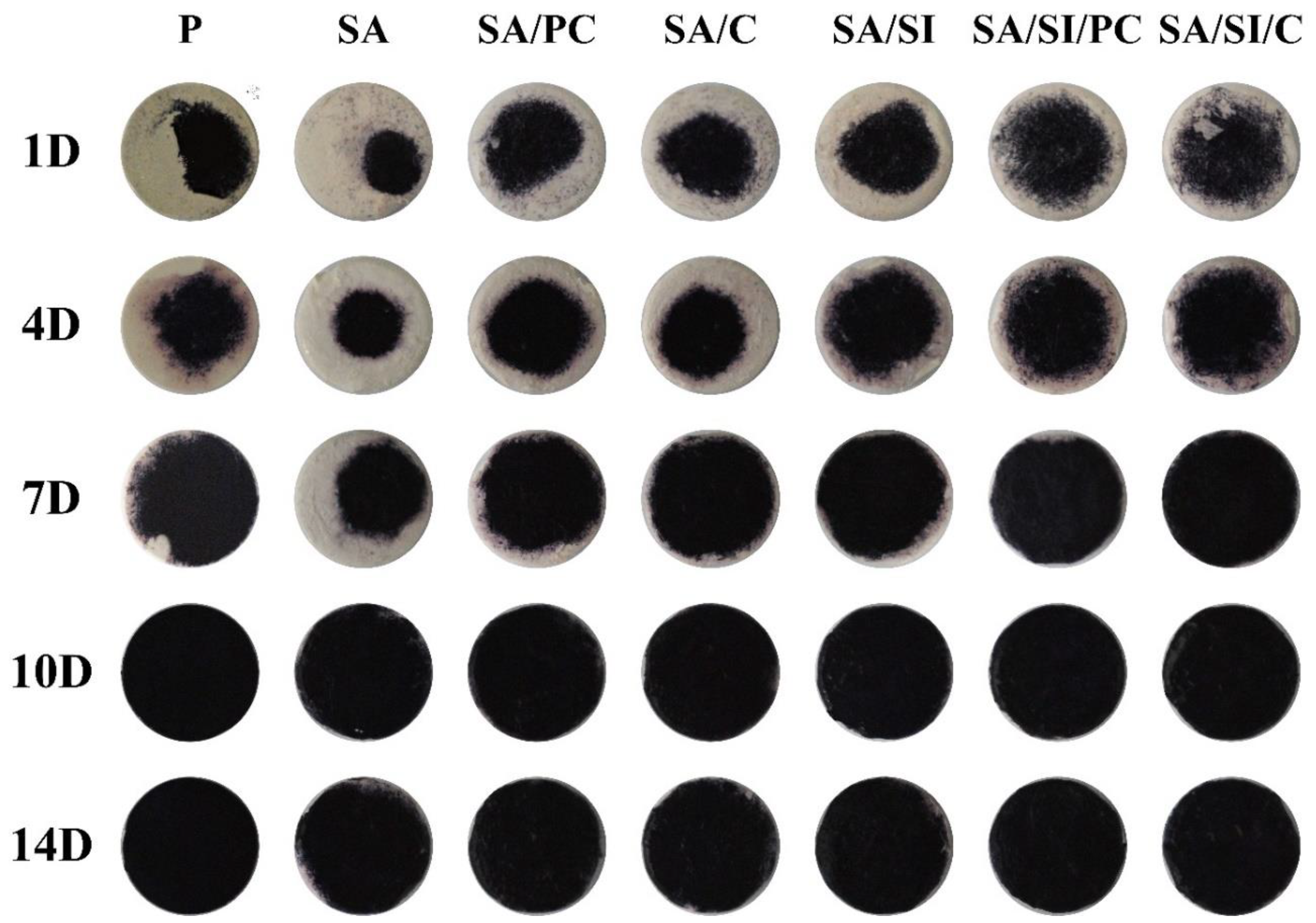 Polymers 13 02081 g011