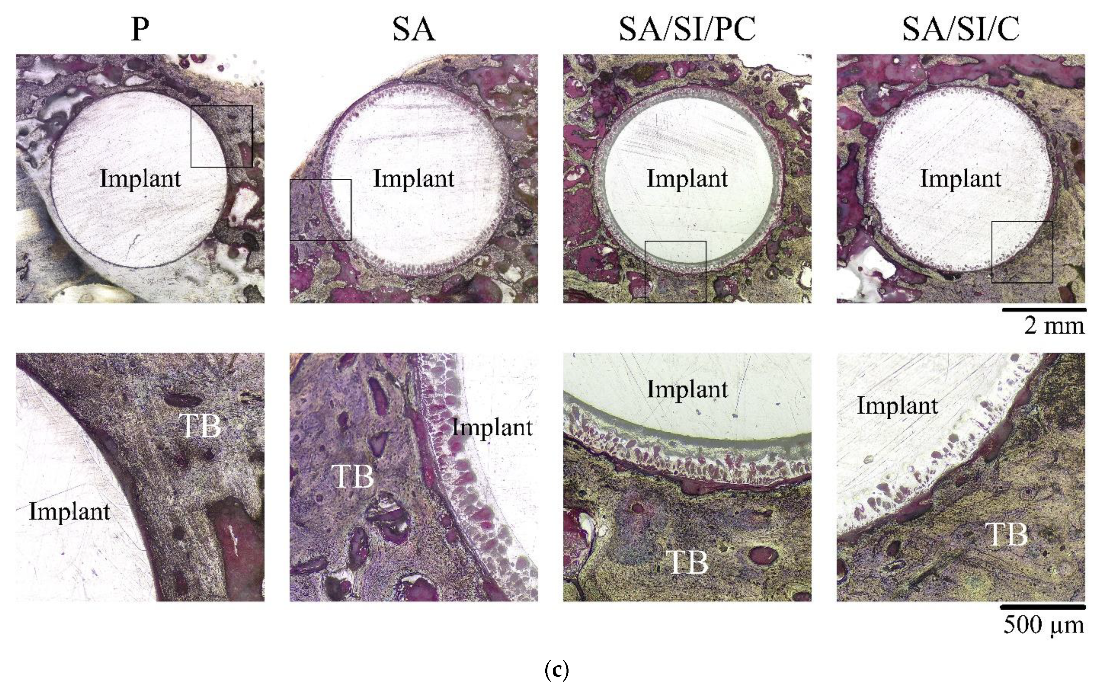 Polymers 13 02081 g012b