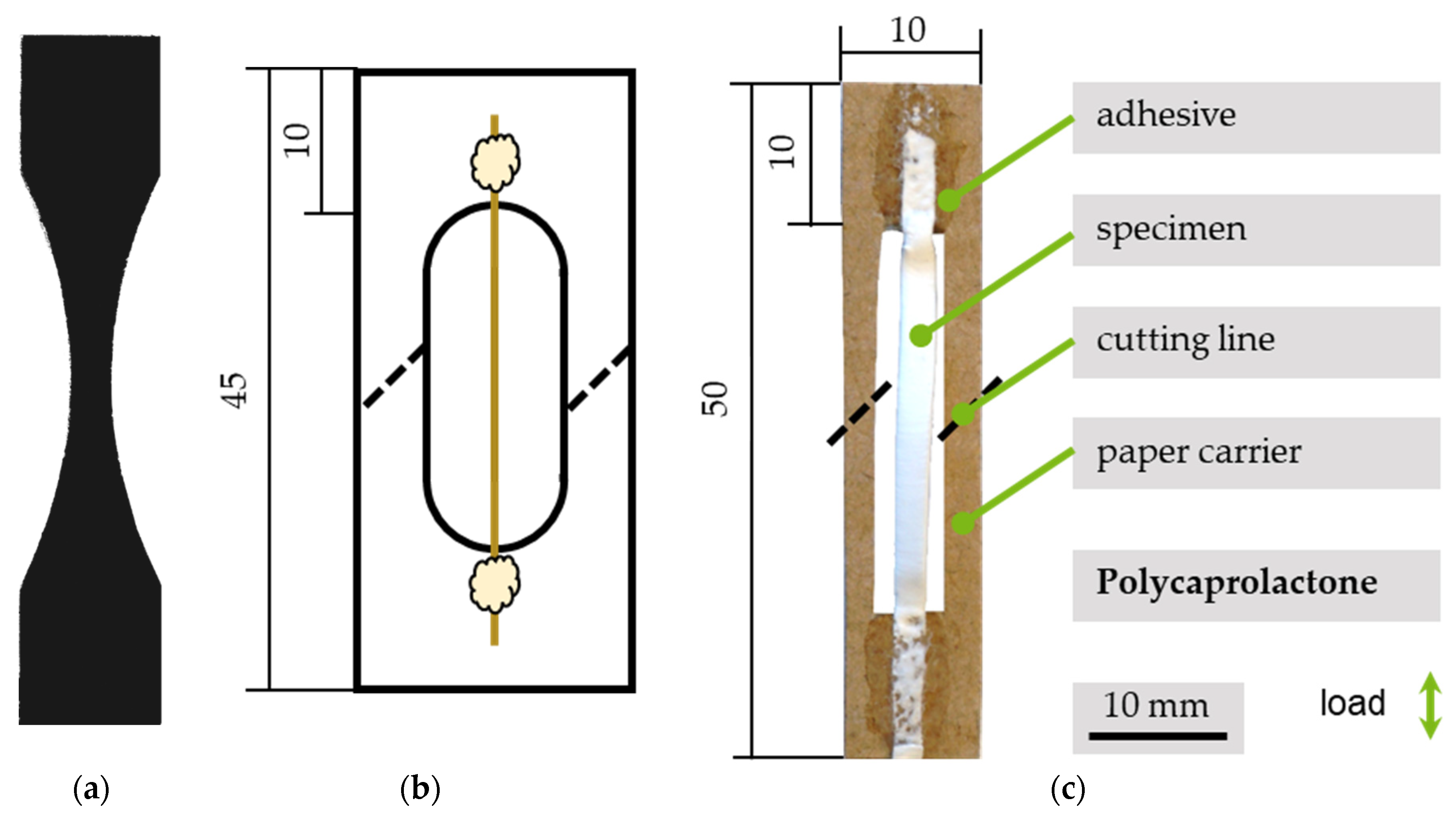 Polymers 13 02090 g003