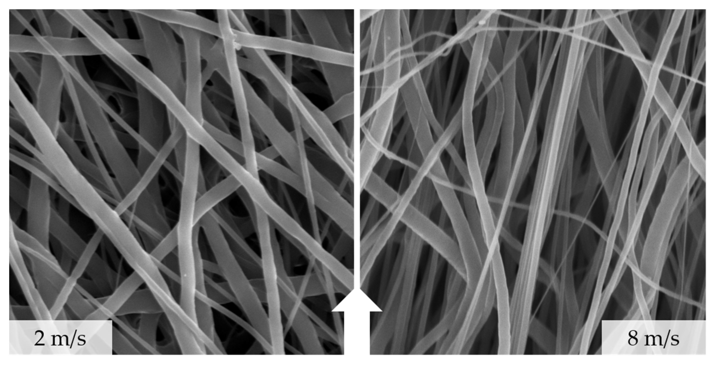 Polymers 13 02090 g006