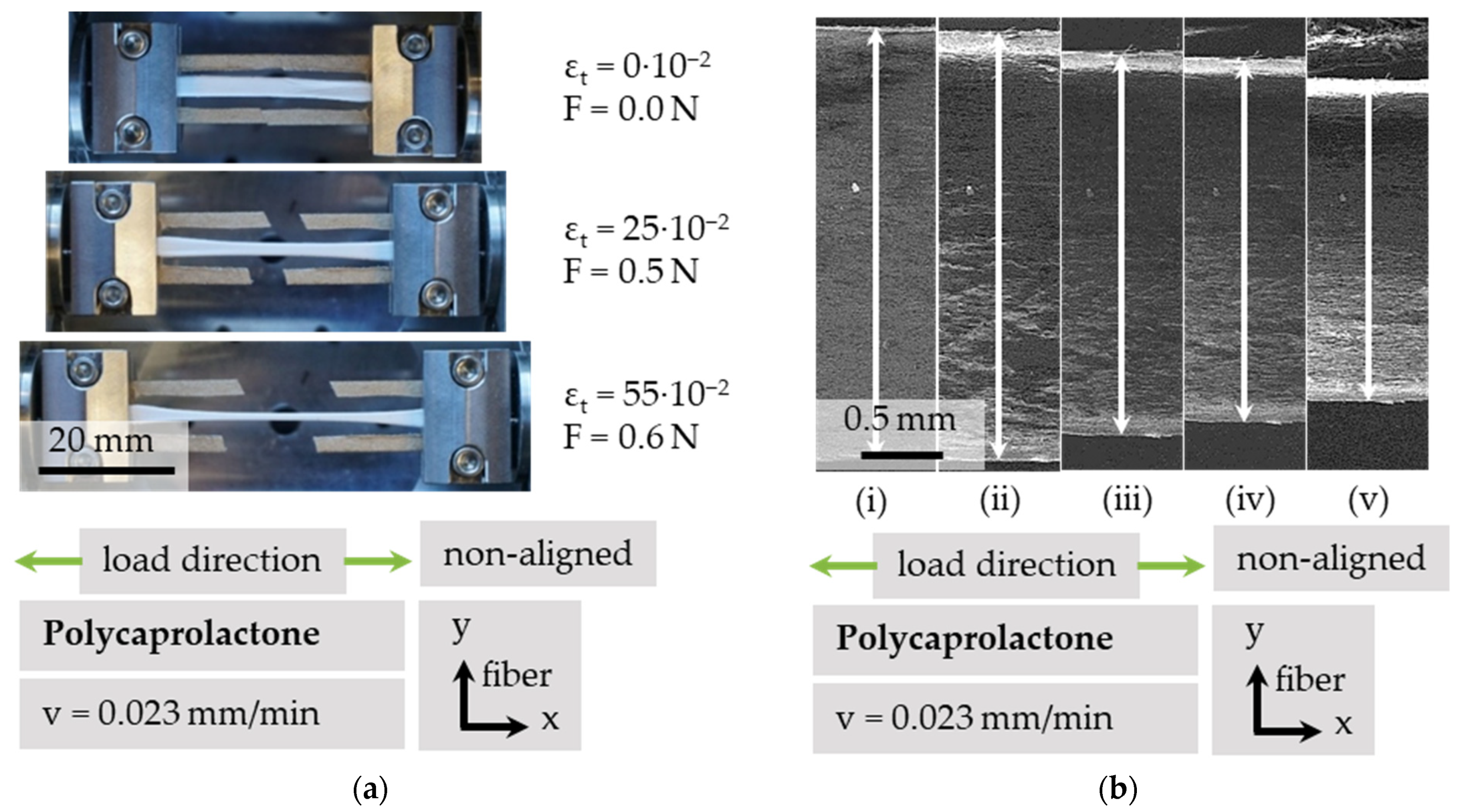 Polymers 13 02090 g008