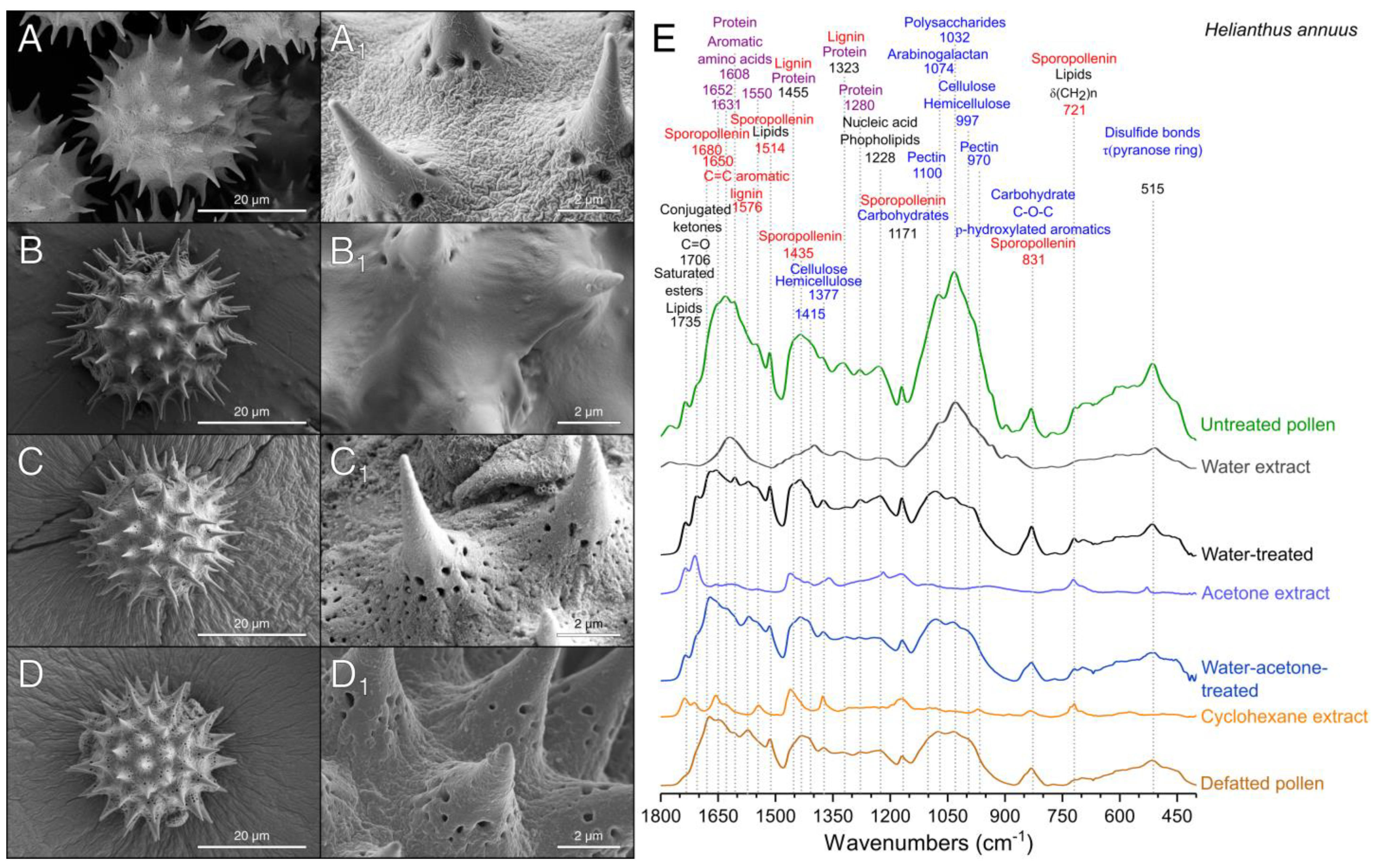 Polymers 13 02094 g002