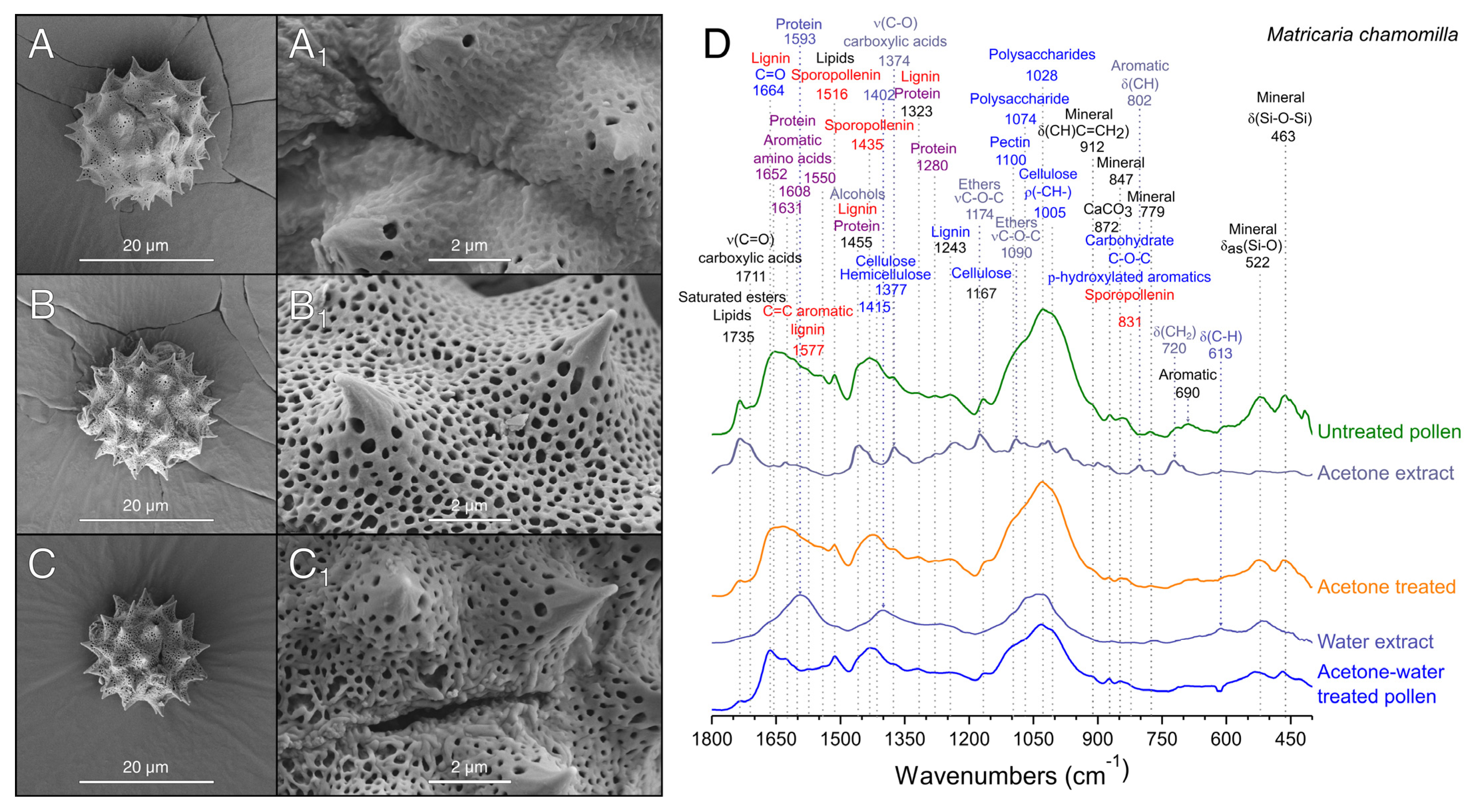 Polymers 13 02094 g004