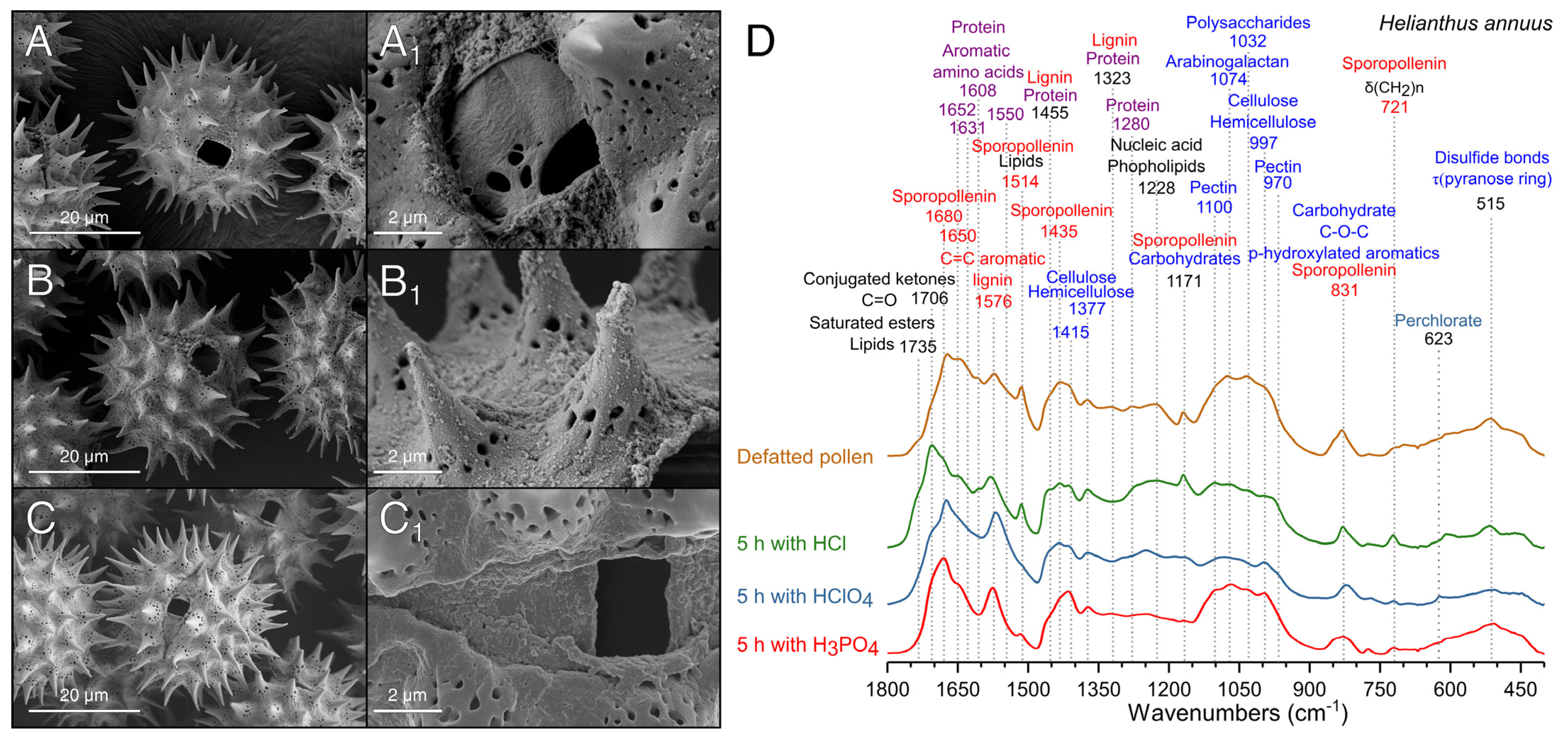 Polymers 13 02094 g005