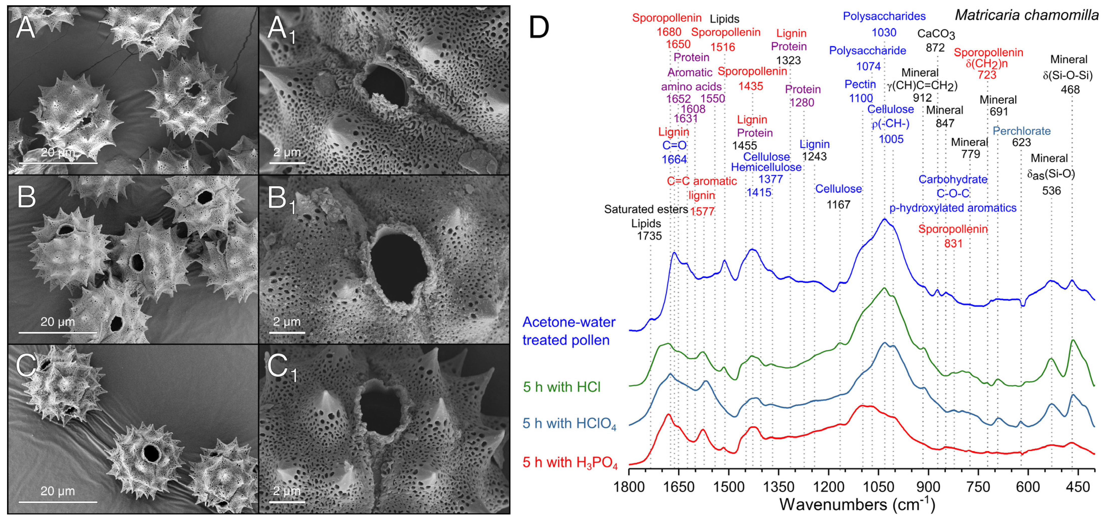 Polymers 13 02094 g006