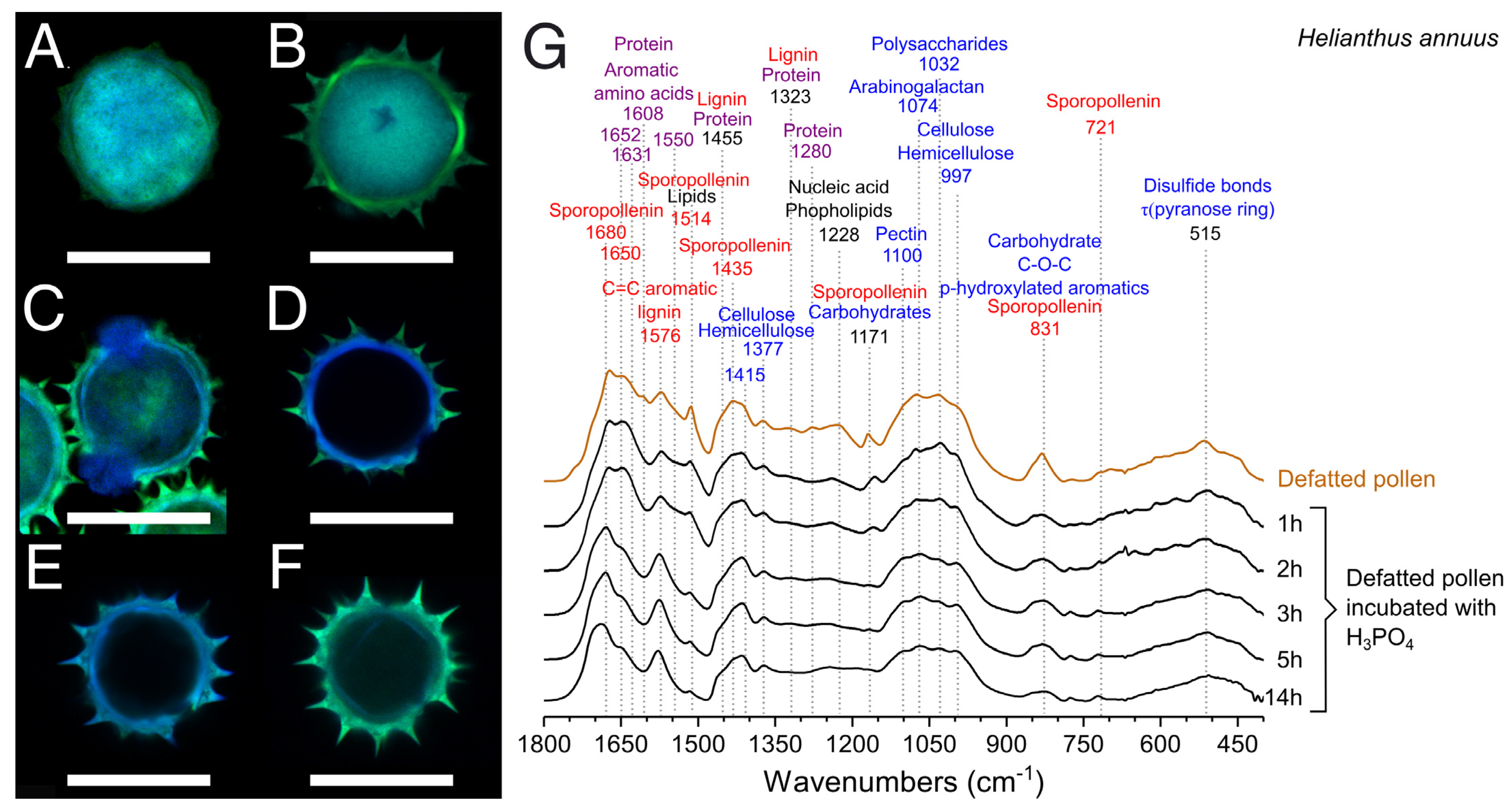 Polymers 13 02094 g007