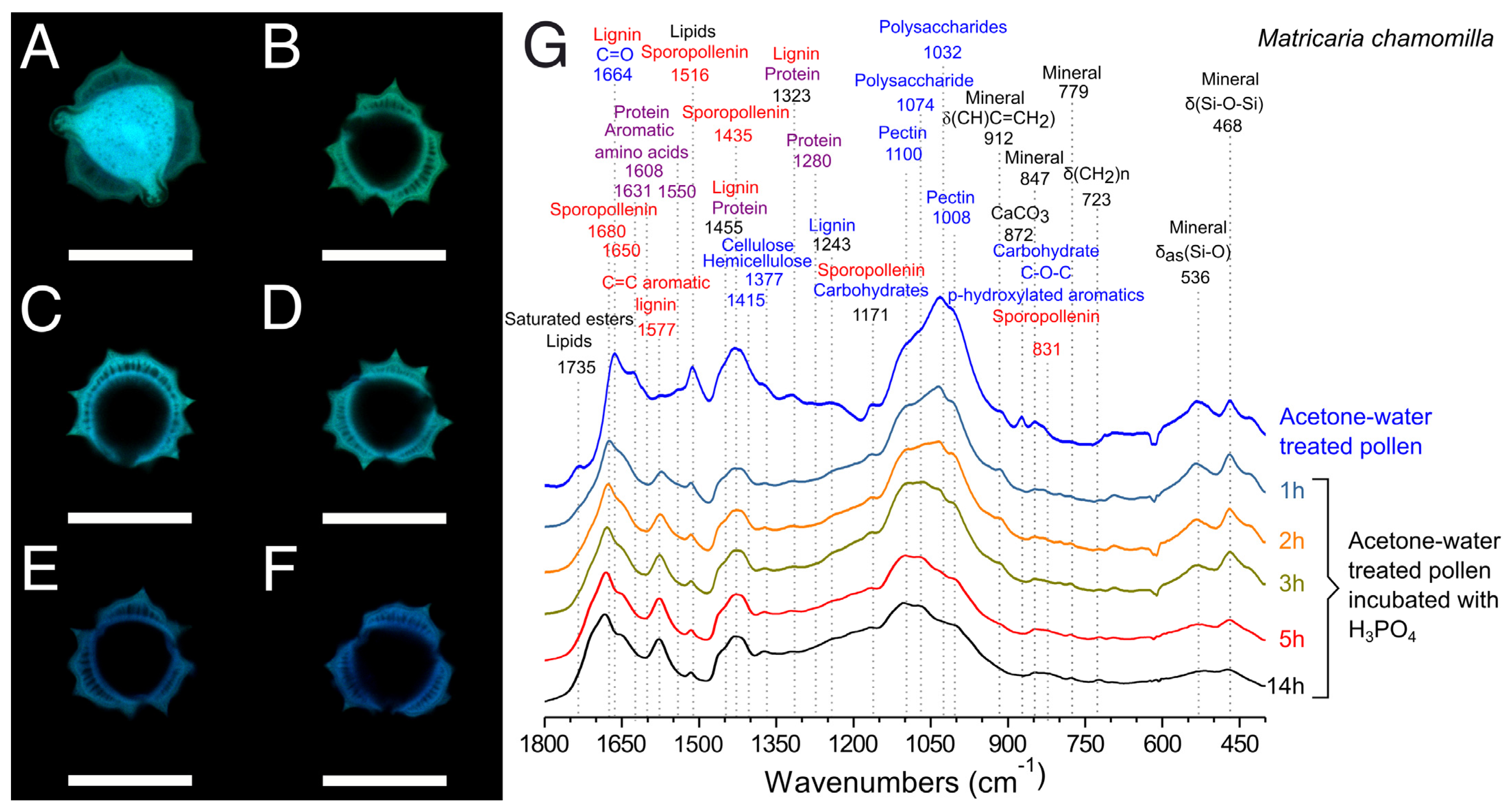 Polymers 13 02094 g008