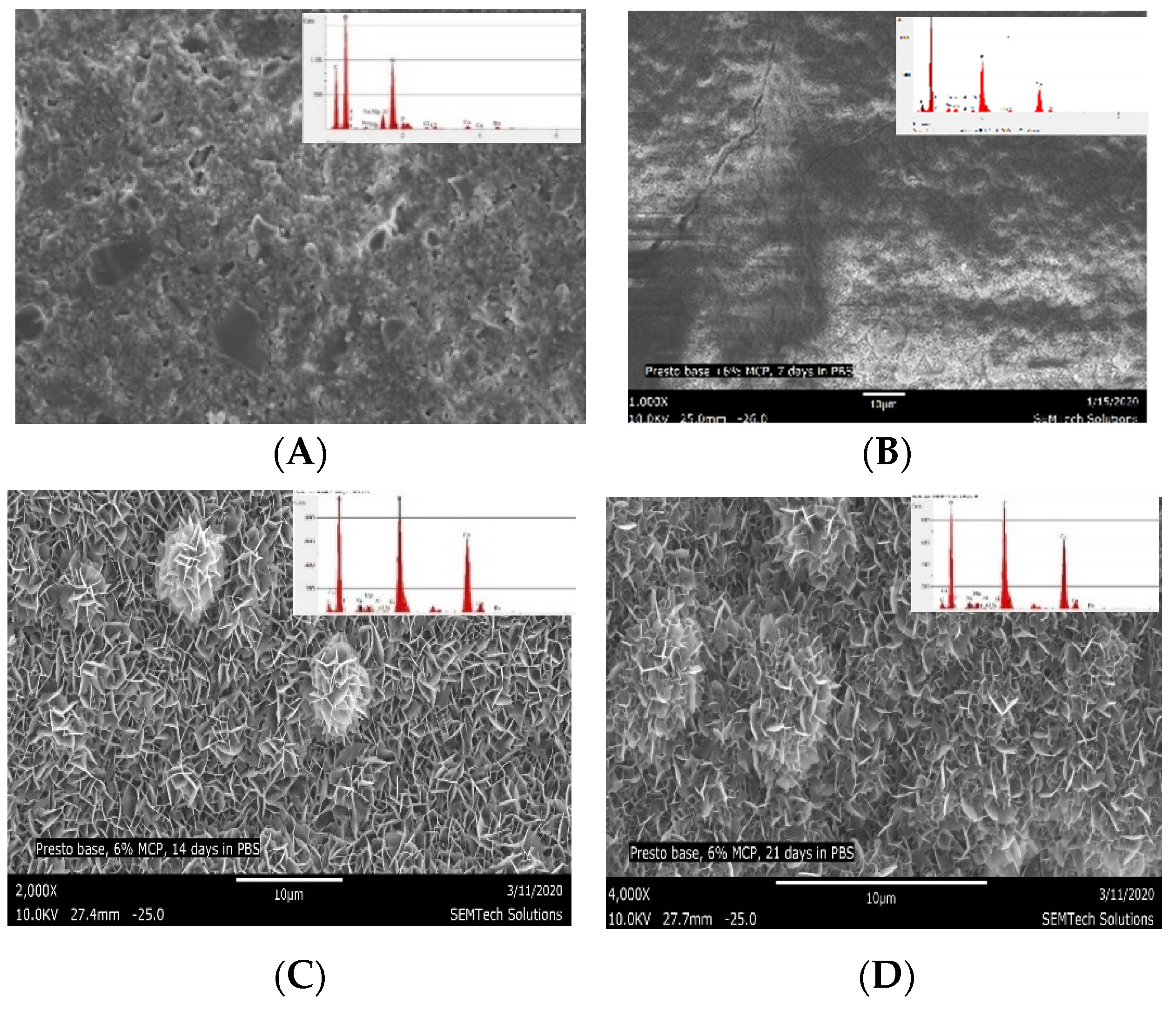 Polymers 13 02095 g007