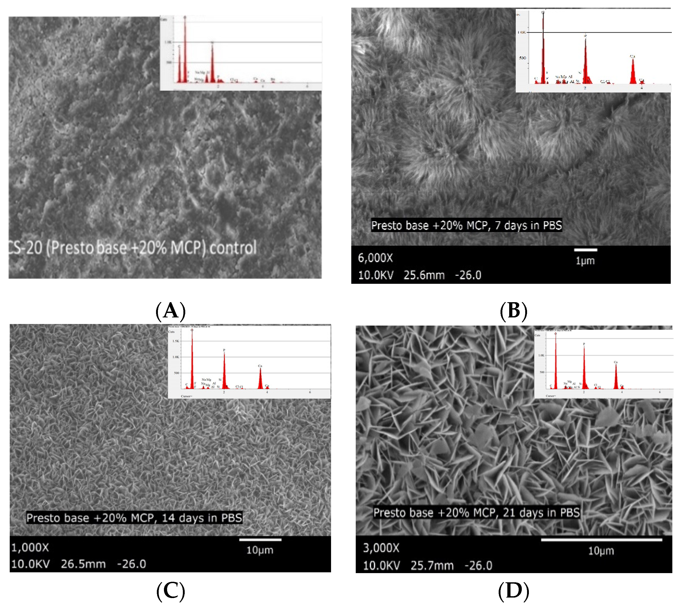 Polymers 13 02095 g008