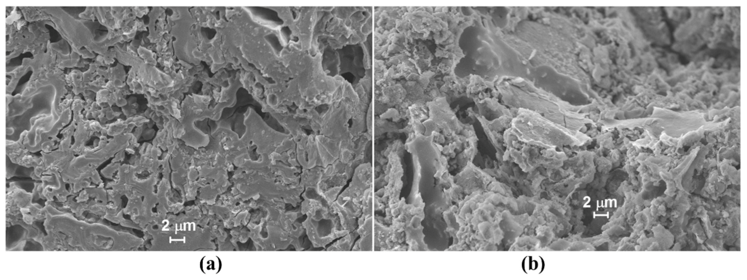 Polymers 13 02099 g005