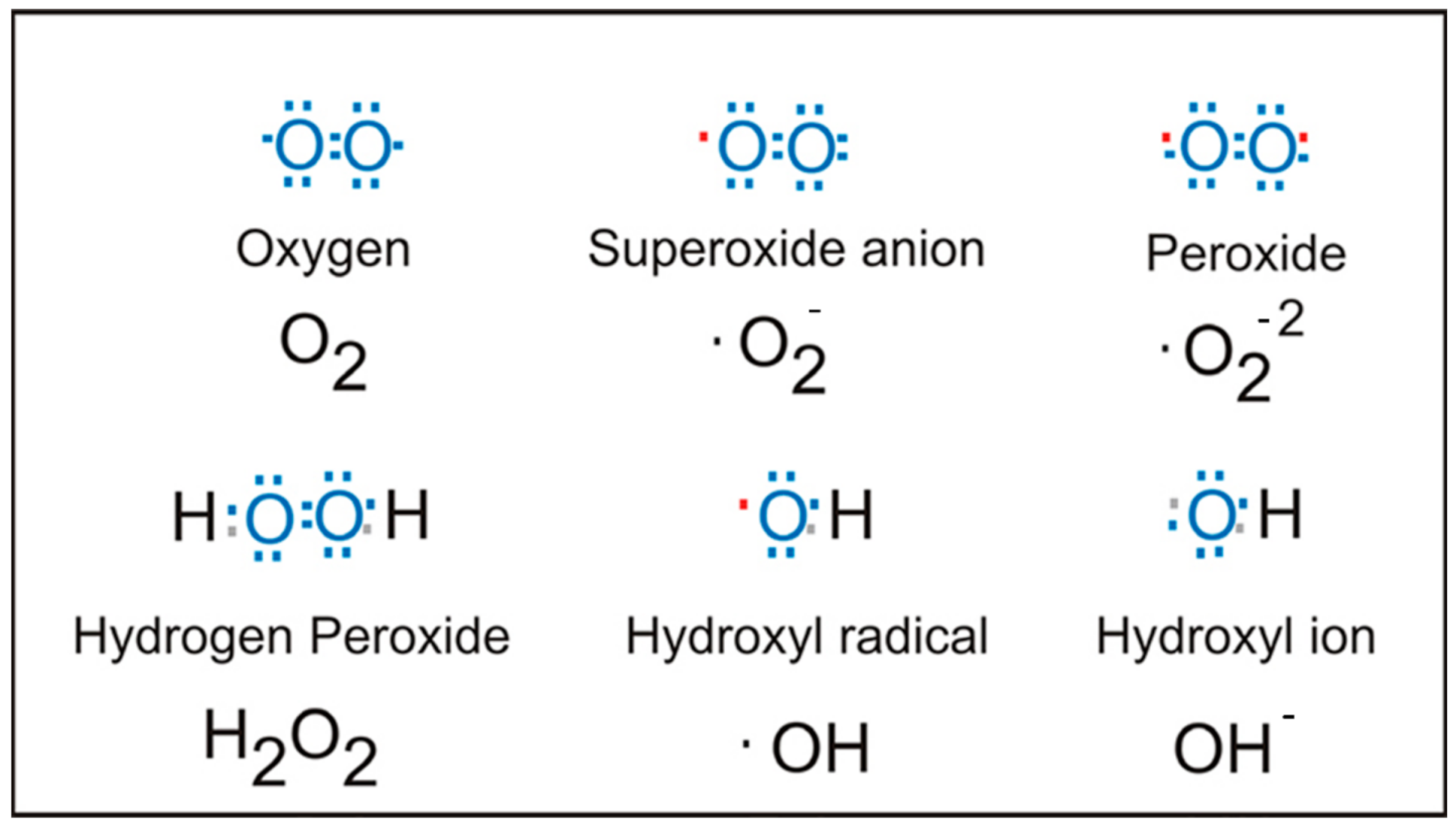 Polymers 13 02105 sch003
