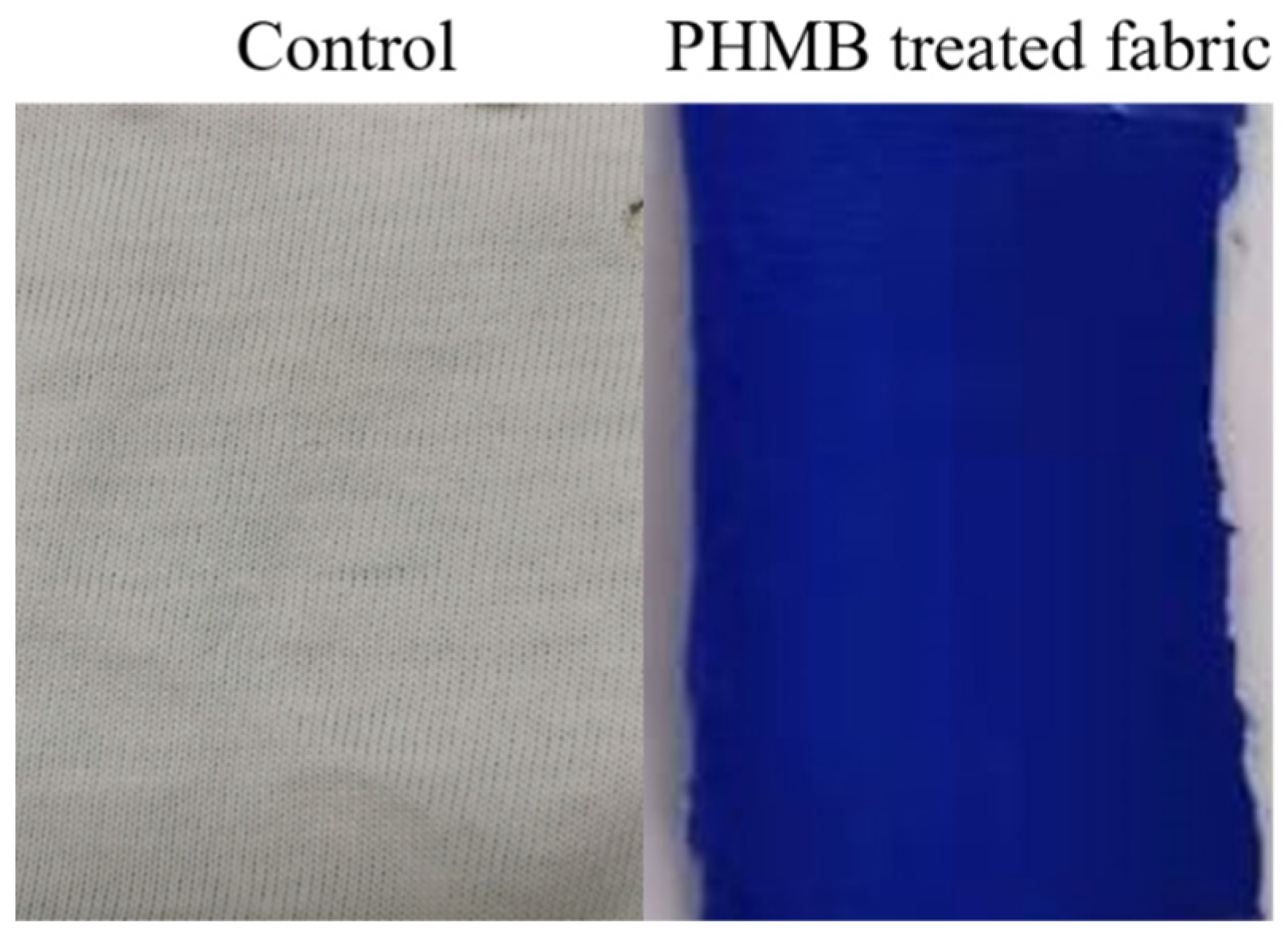 Polymers 13 02122 g002