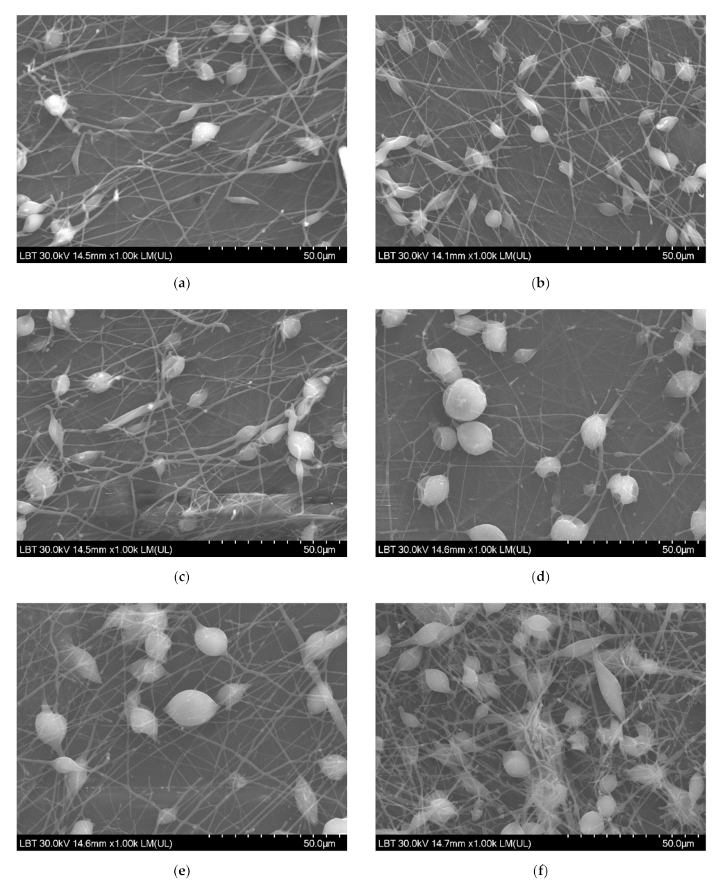 Polymers 13 02123 g004