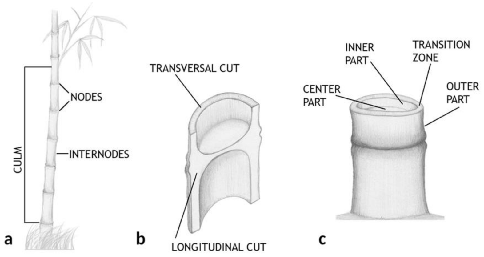 Polymers 13 02126 g001 Polymers 13 02126 g001