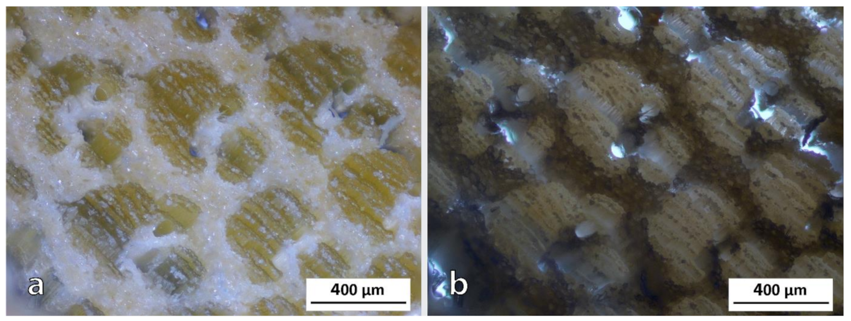 Polymers 13 02126 g002 Polymers 13 02126 g002