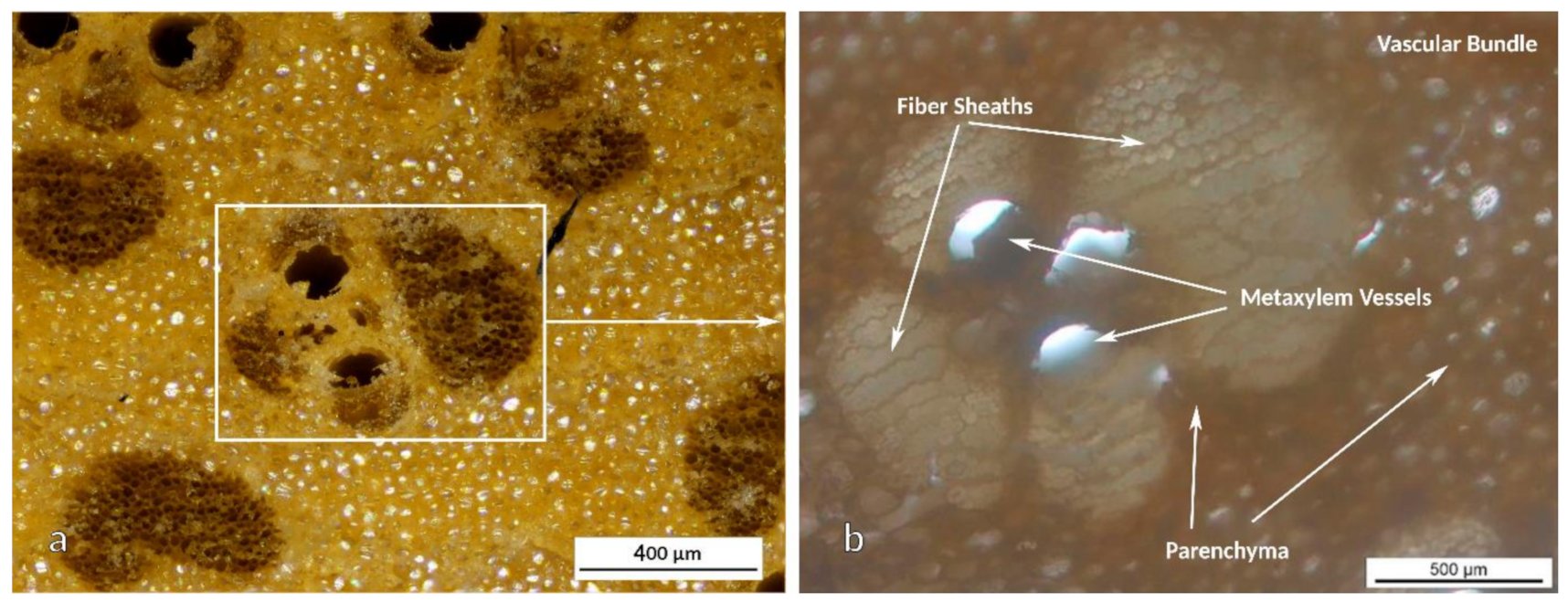 Polymers 13 02126 g003 Polymers 13 02126 g003
