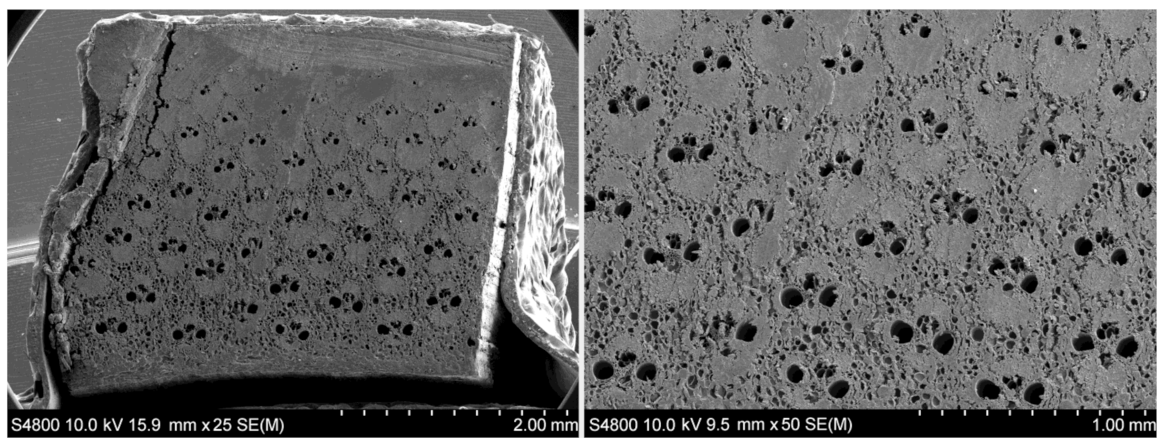 Polymers 13 02126 g005 Polymers 13 02126 g005