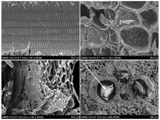 Polymers 13 02126 g008
