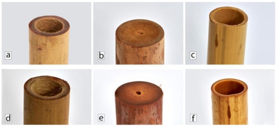 Polymers 13 02126 g009