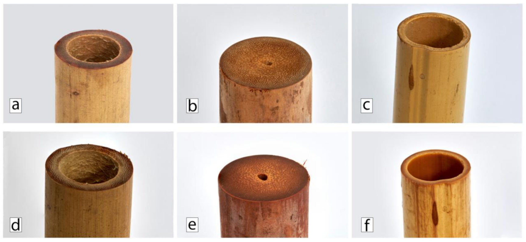 Polymers 13 02126 g009 Polymers 13 02126 g009