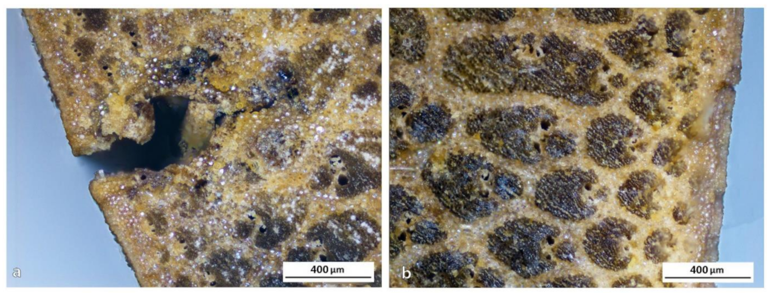 Polymers 13 02126 g012 Polymers 13 02126 g012